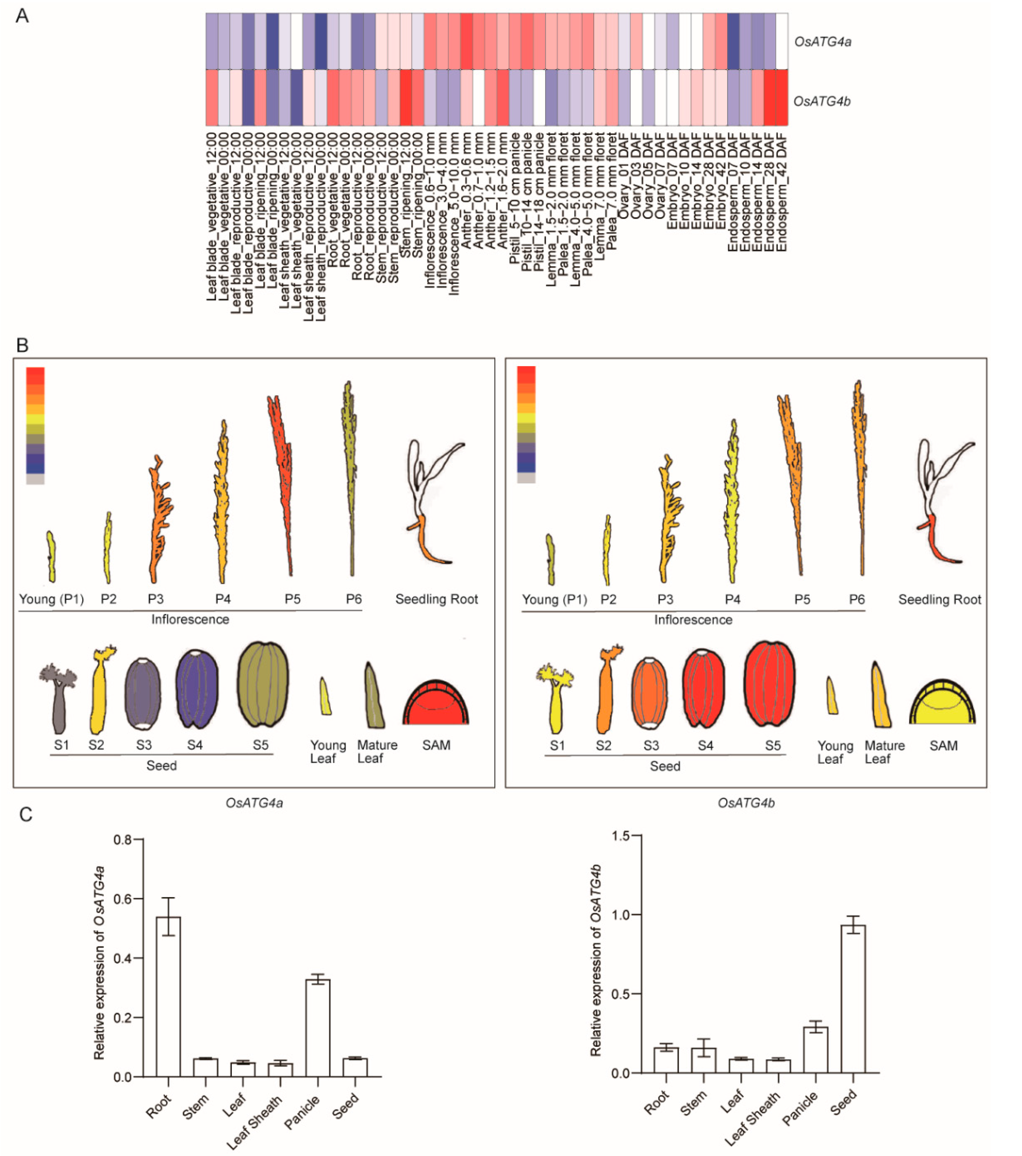 Preprints 166887 g002