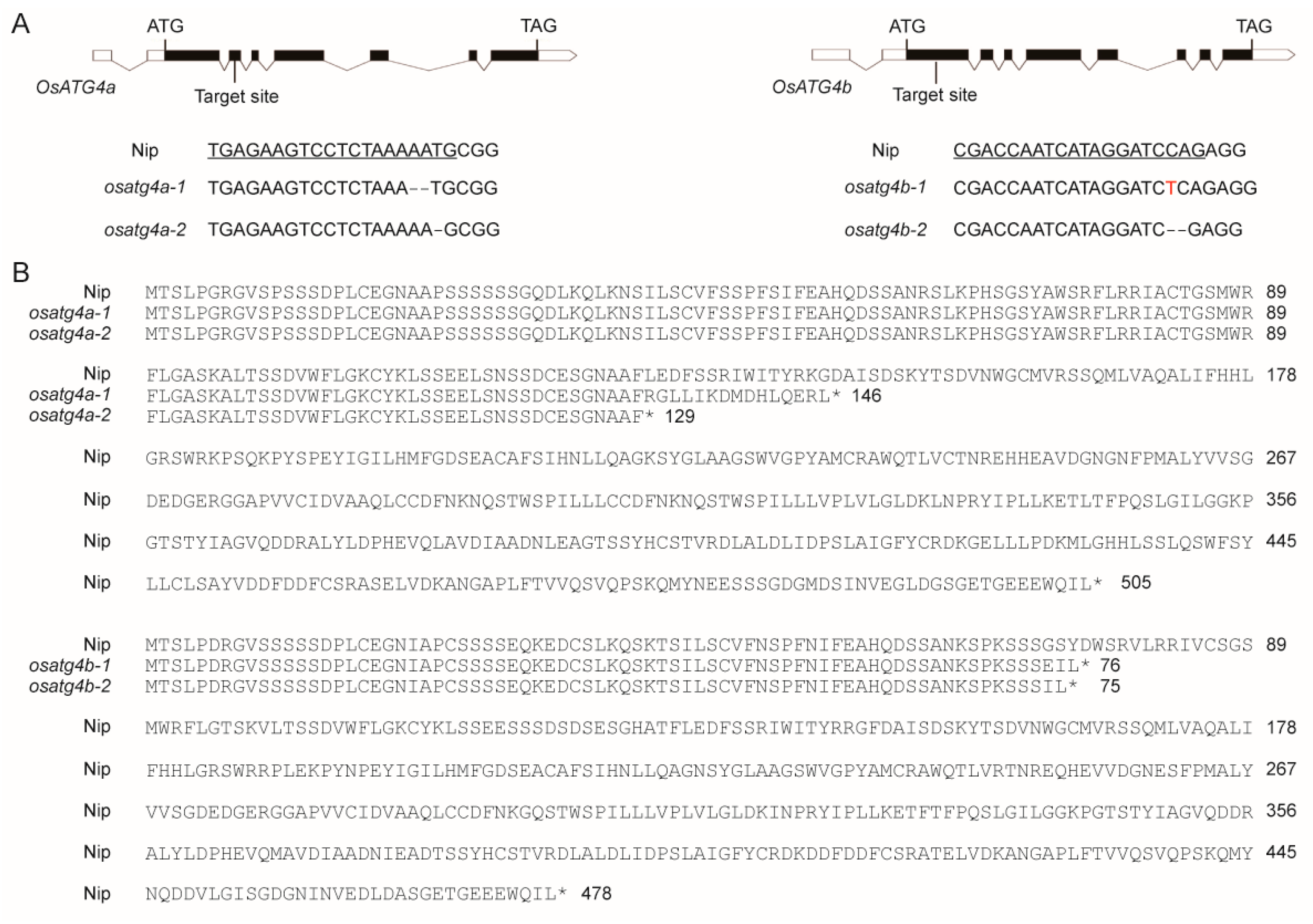 Preprints 166887 g003