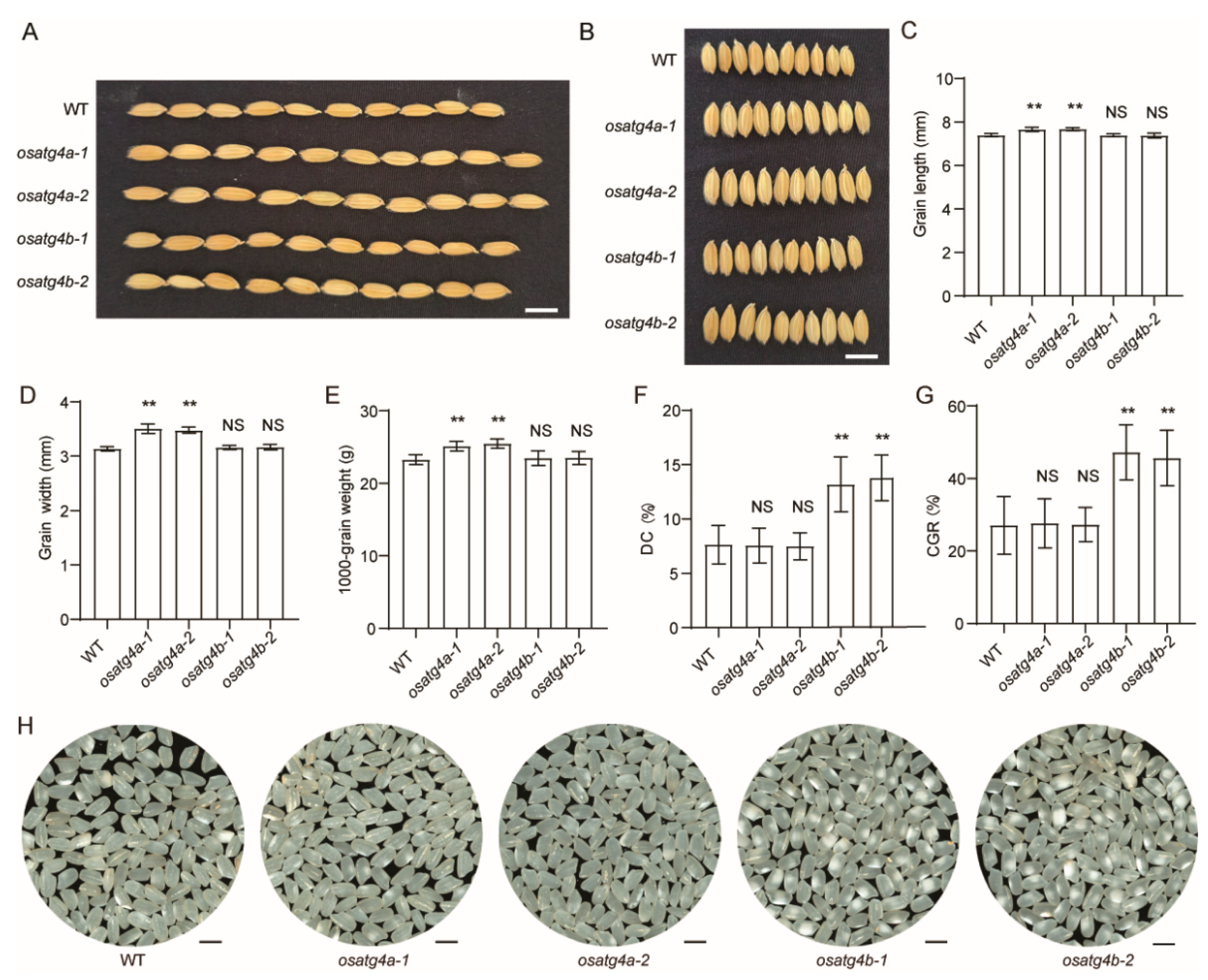 Preprints 166887 g004