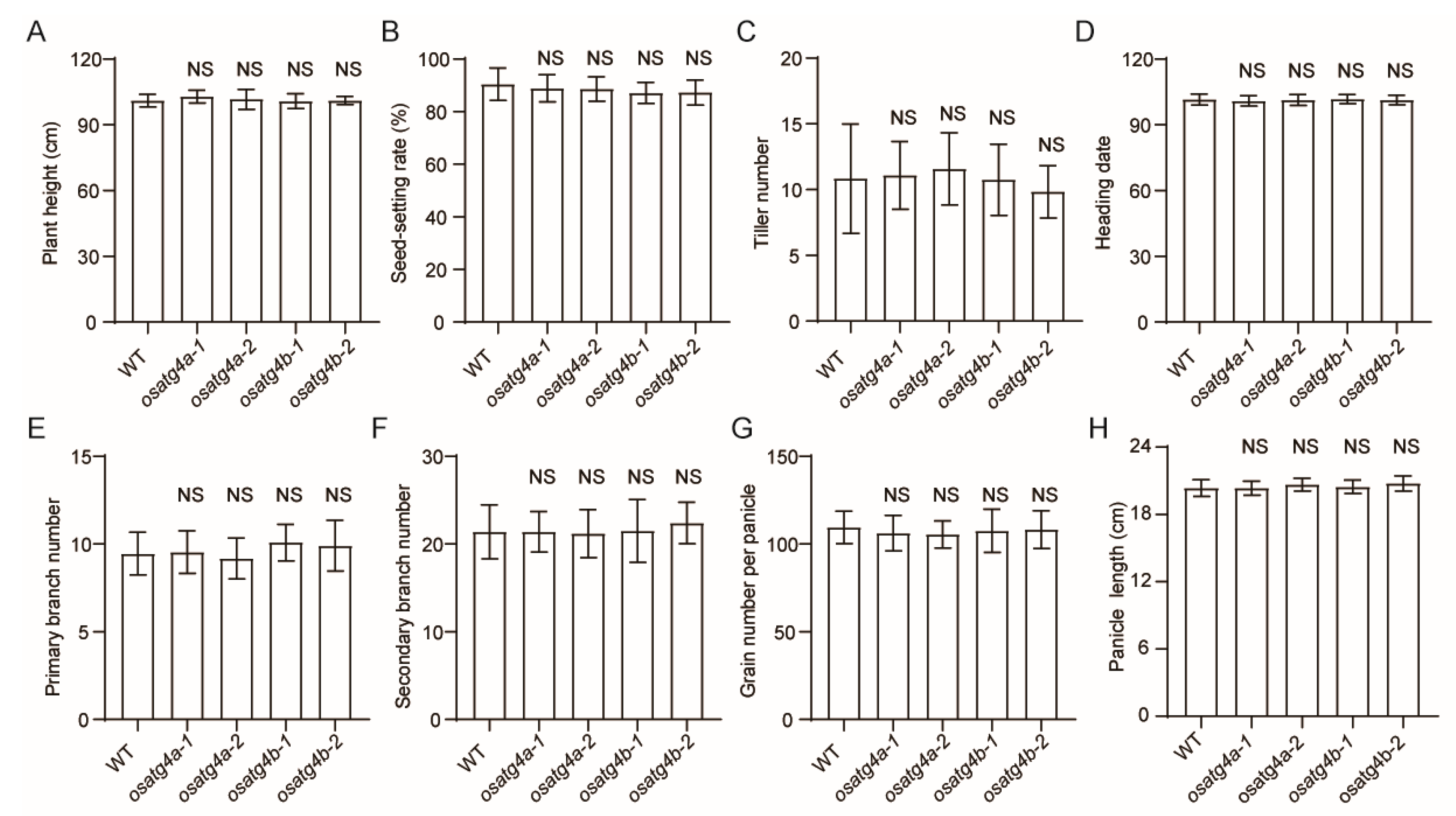 Preprints 166887 g005