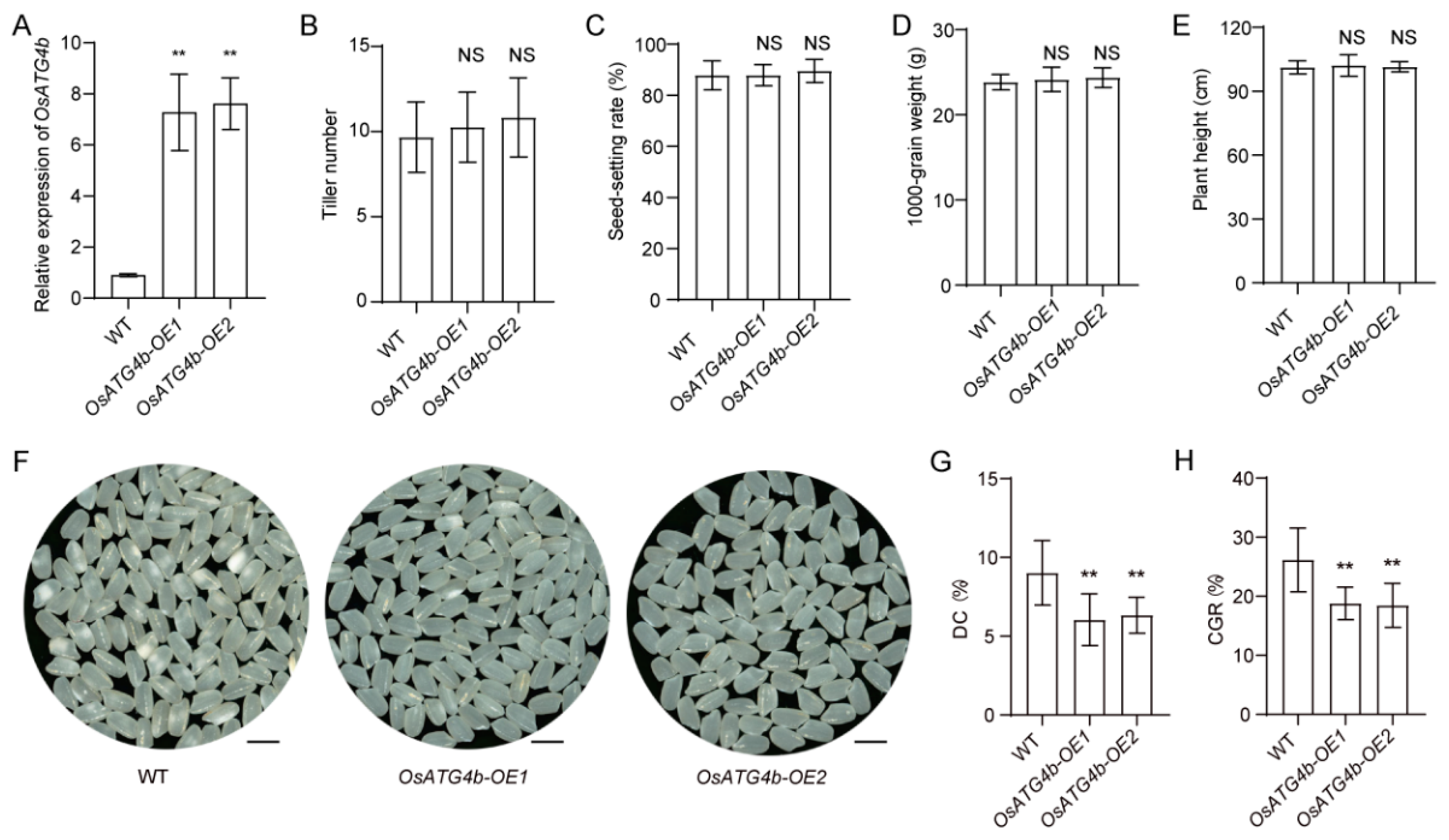 Preprints 166887 g006