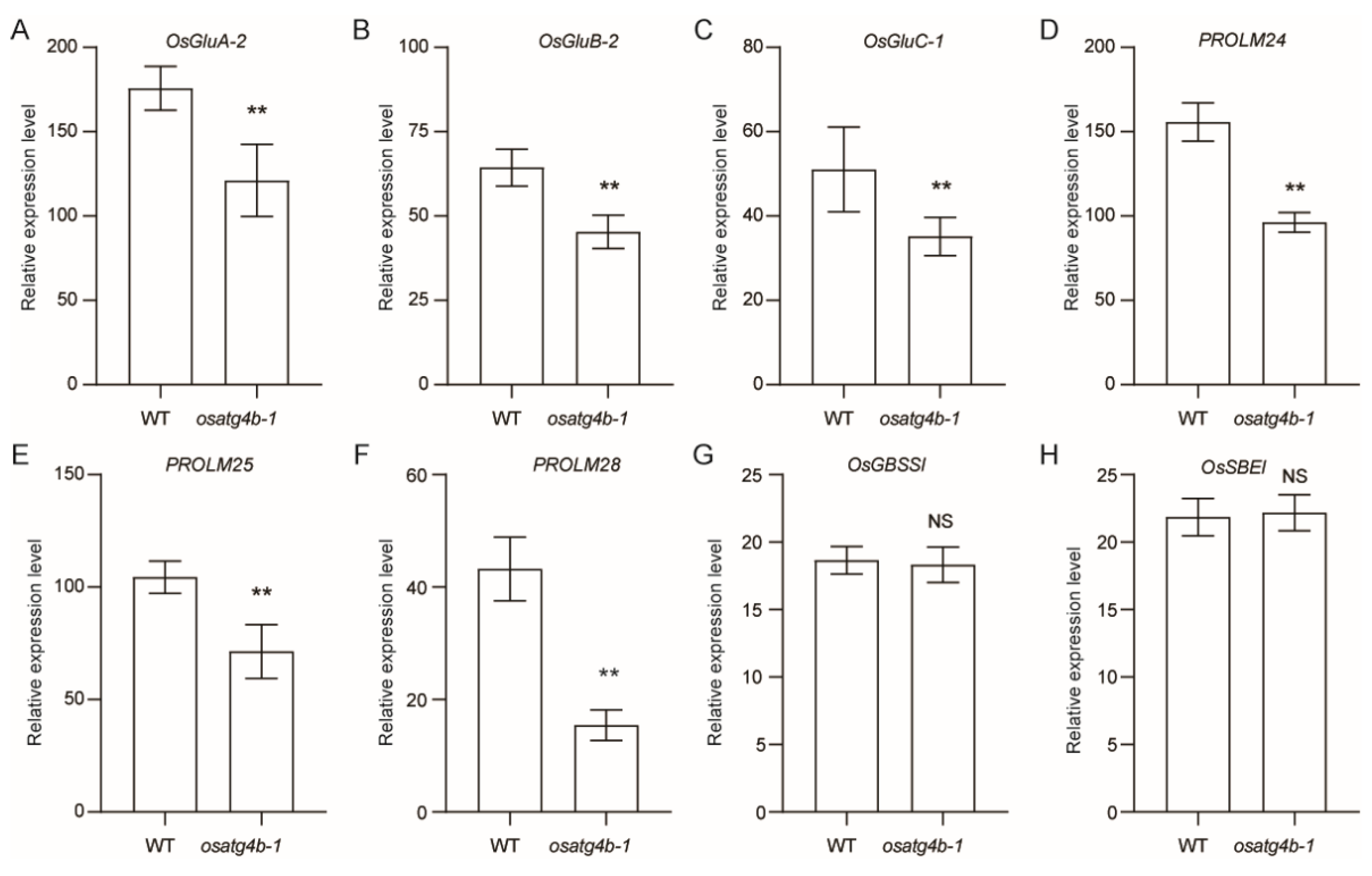 Preprints 166887 g008