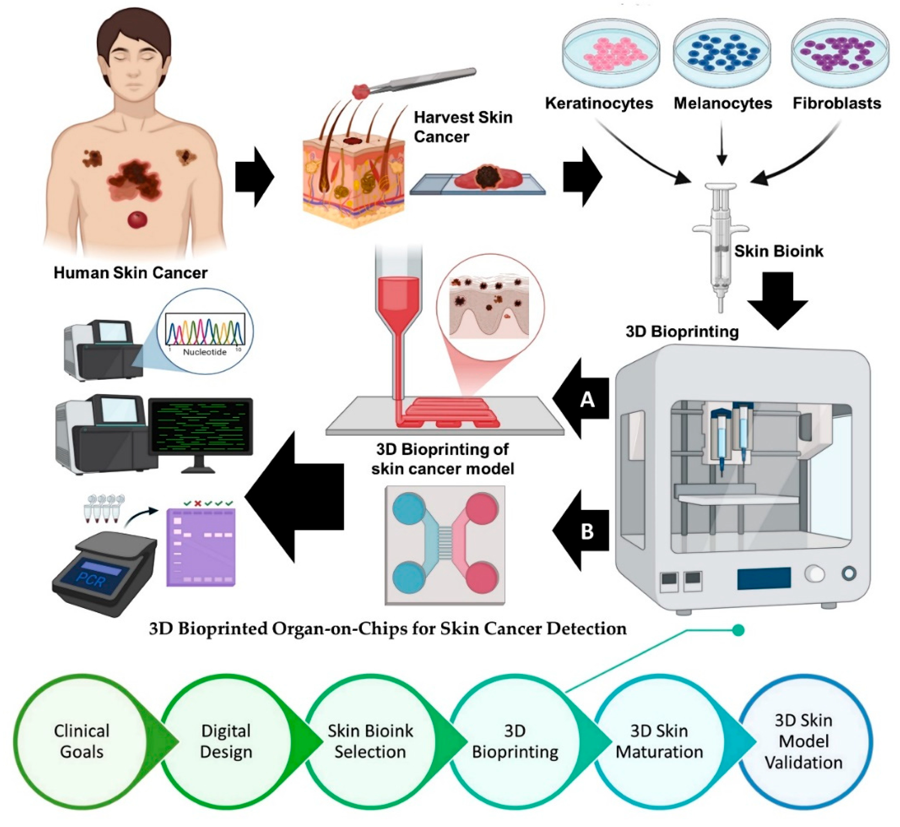 Preprints 177110 g002