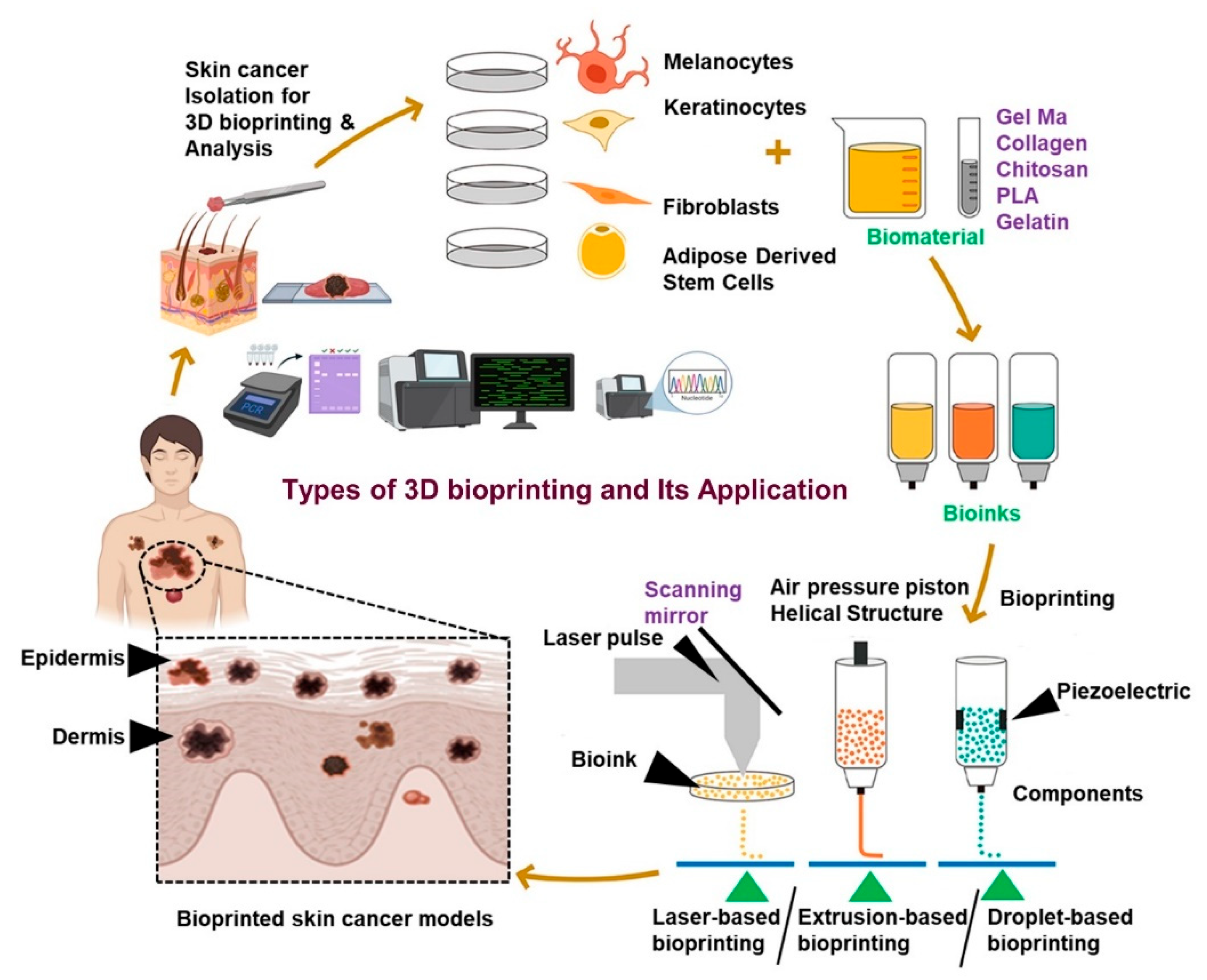 High-Throughput 3D Bioprinted Organoids of Skin Cancer Utilized