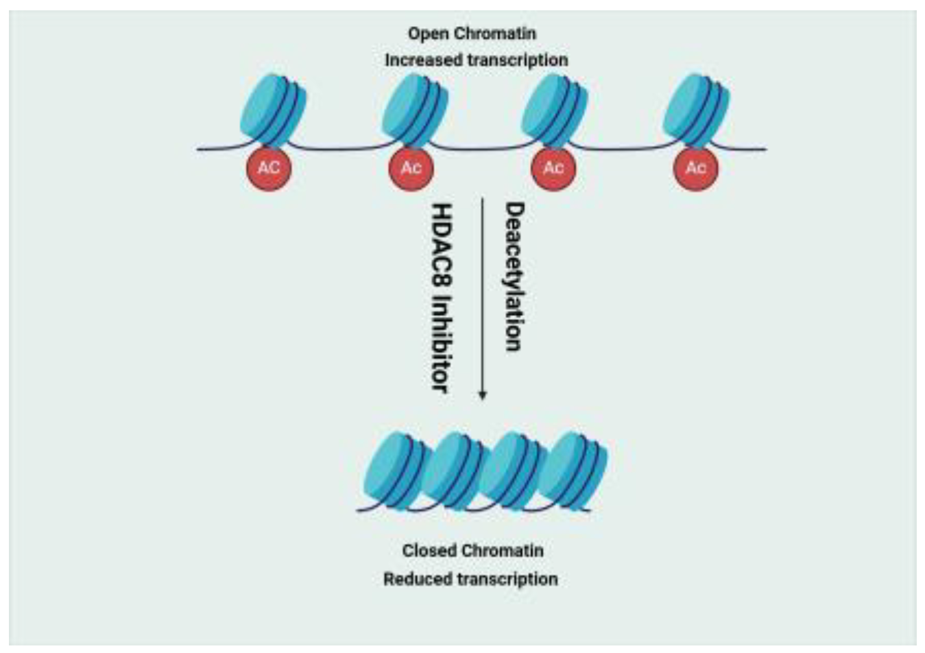 Preprints 154240 g001