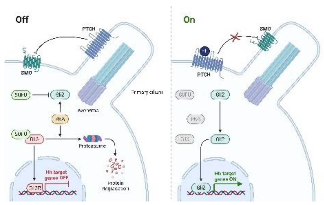 Preprints 154240 g002