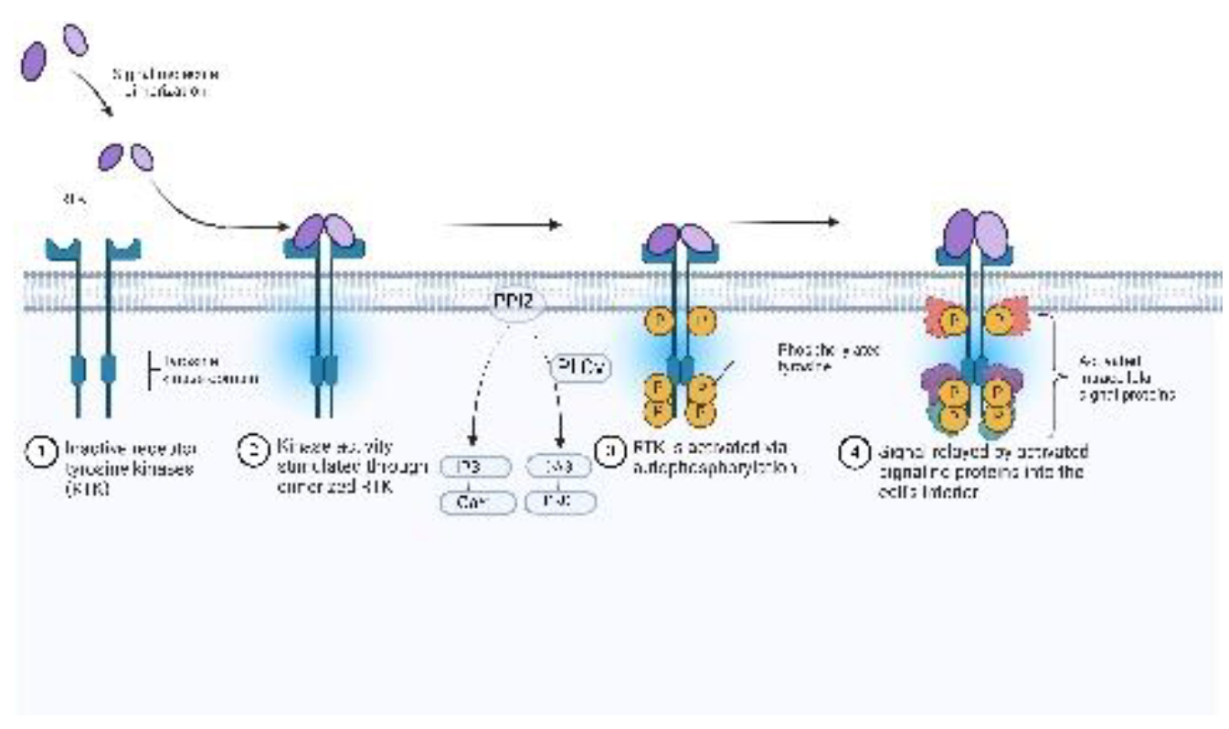 Preprints 154240 g003