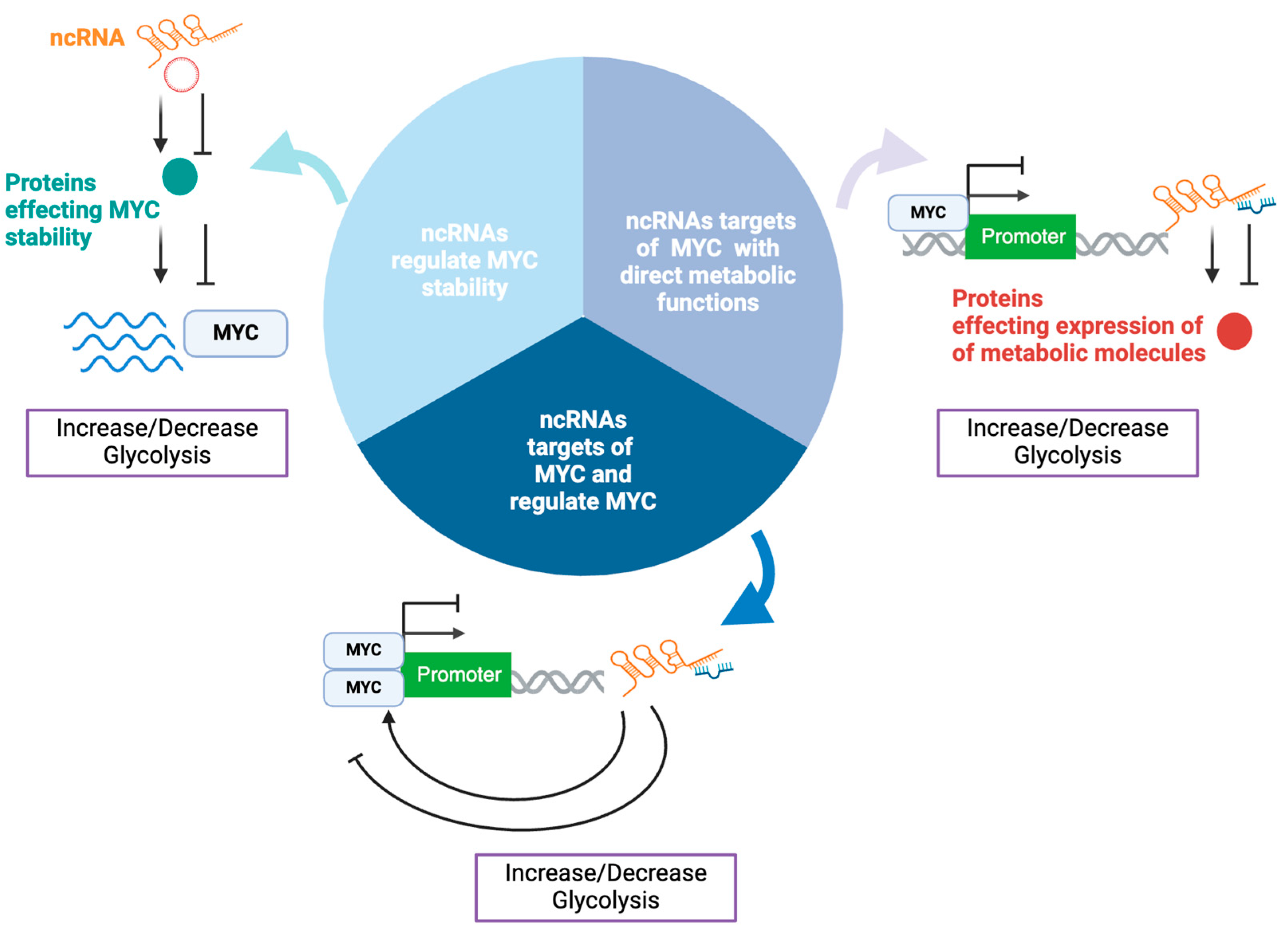 Preprints 149707 g001