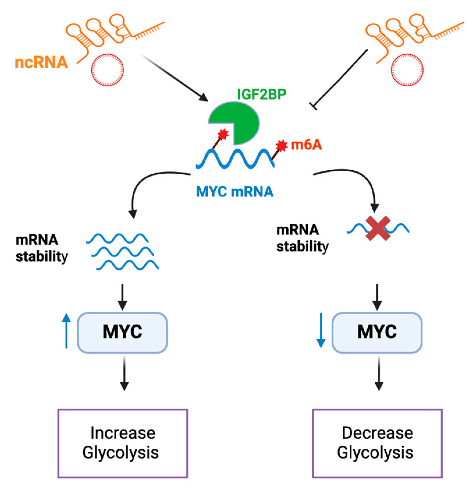 Preprints 149707 g002