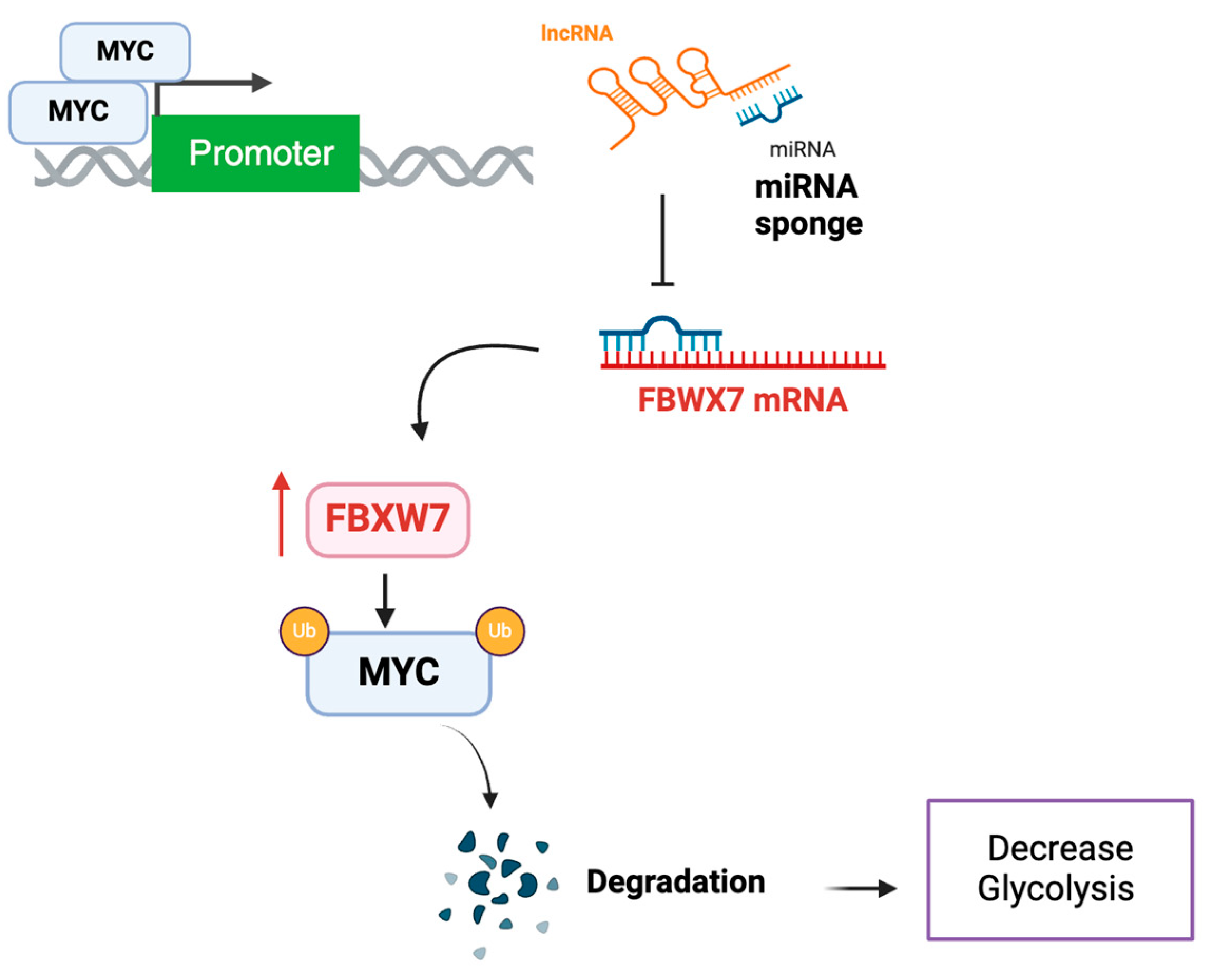 Preprints 149707 g003