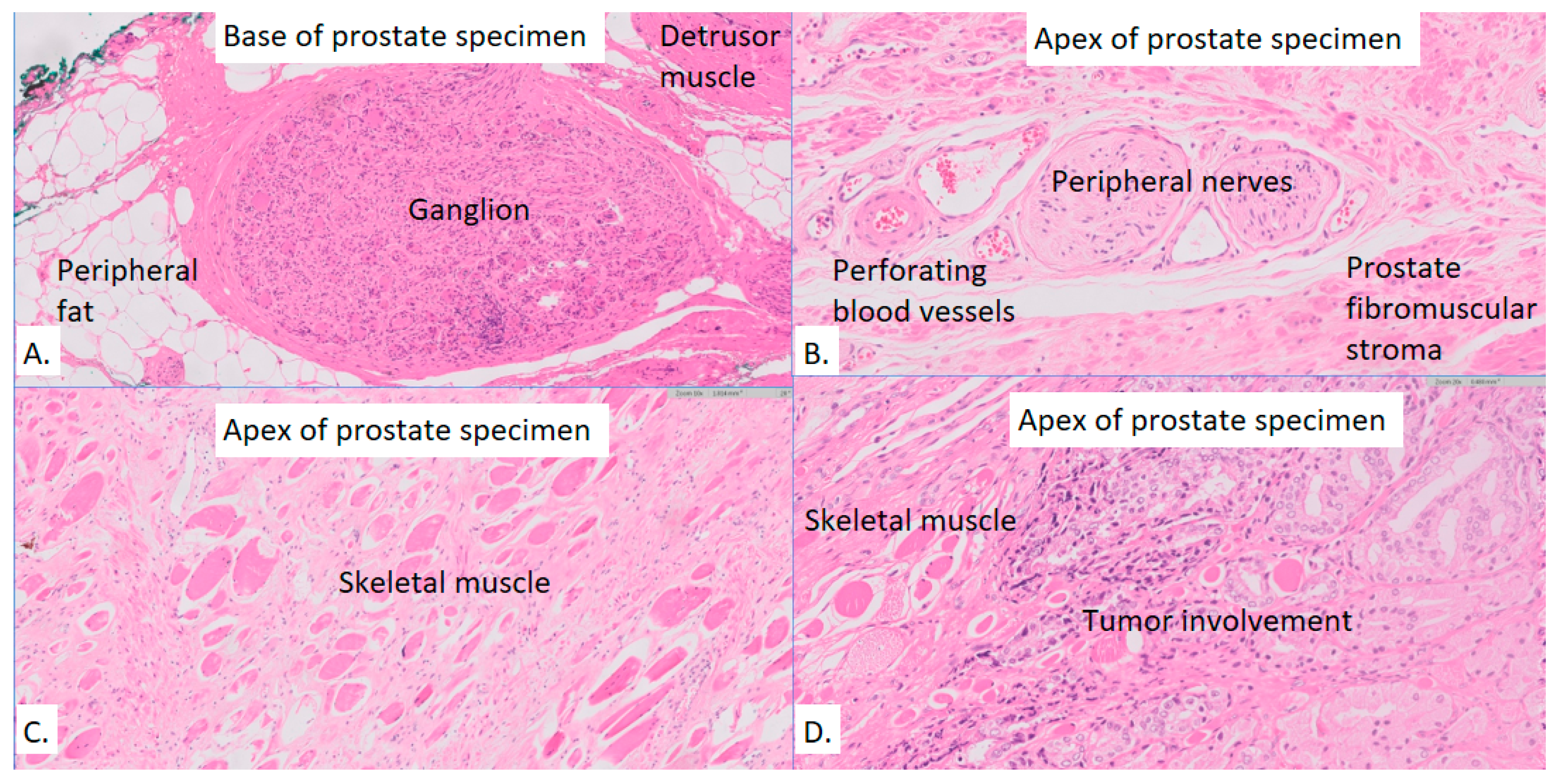 Preprints 112643 g001