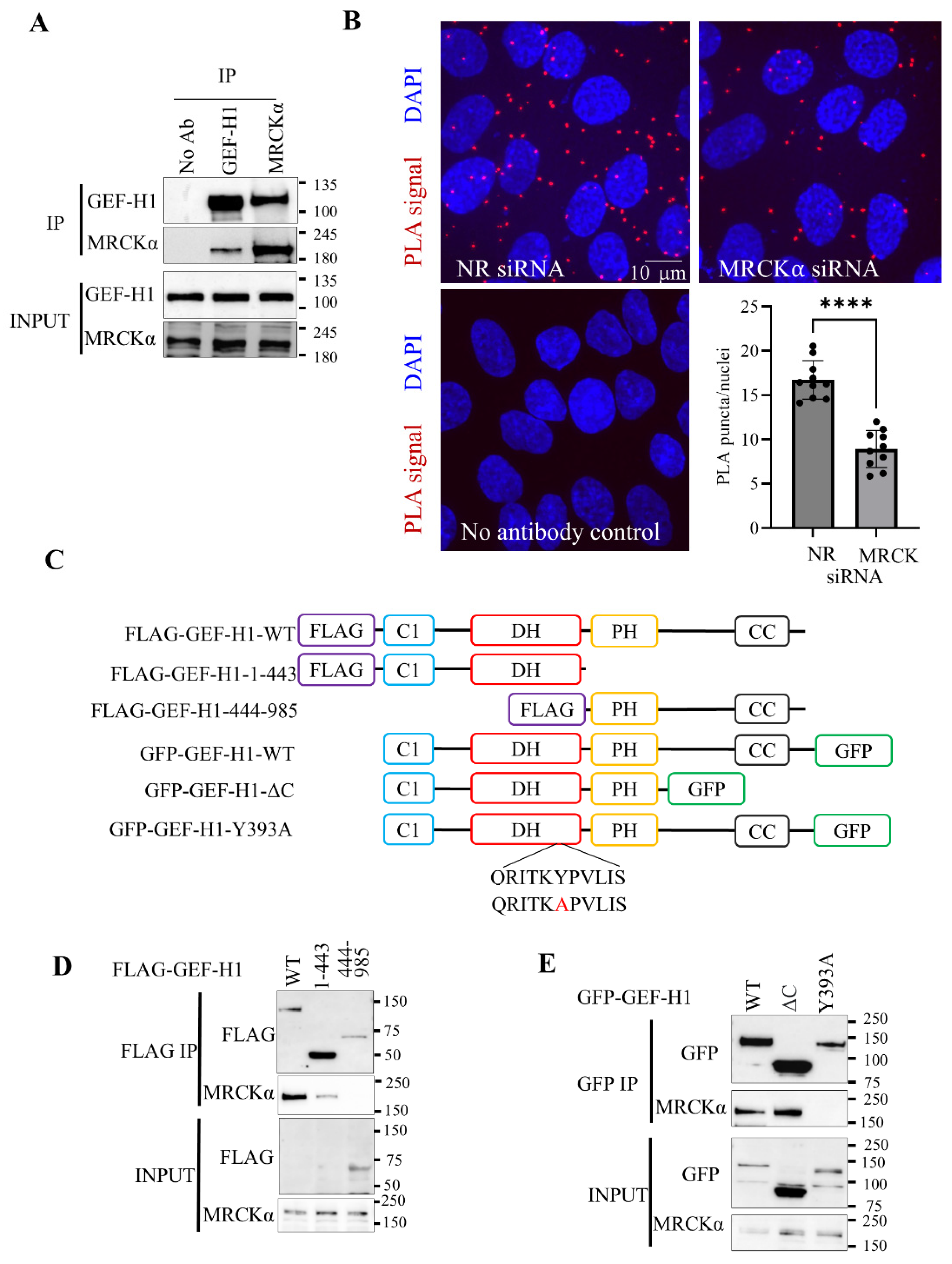 Preprints 177161 g001