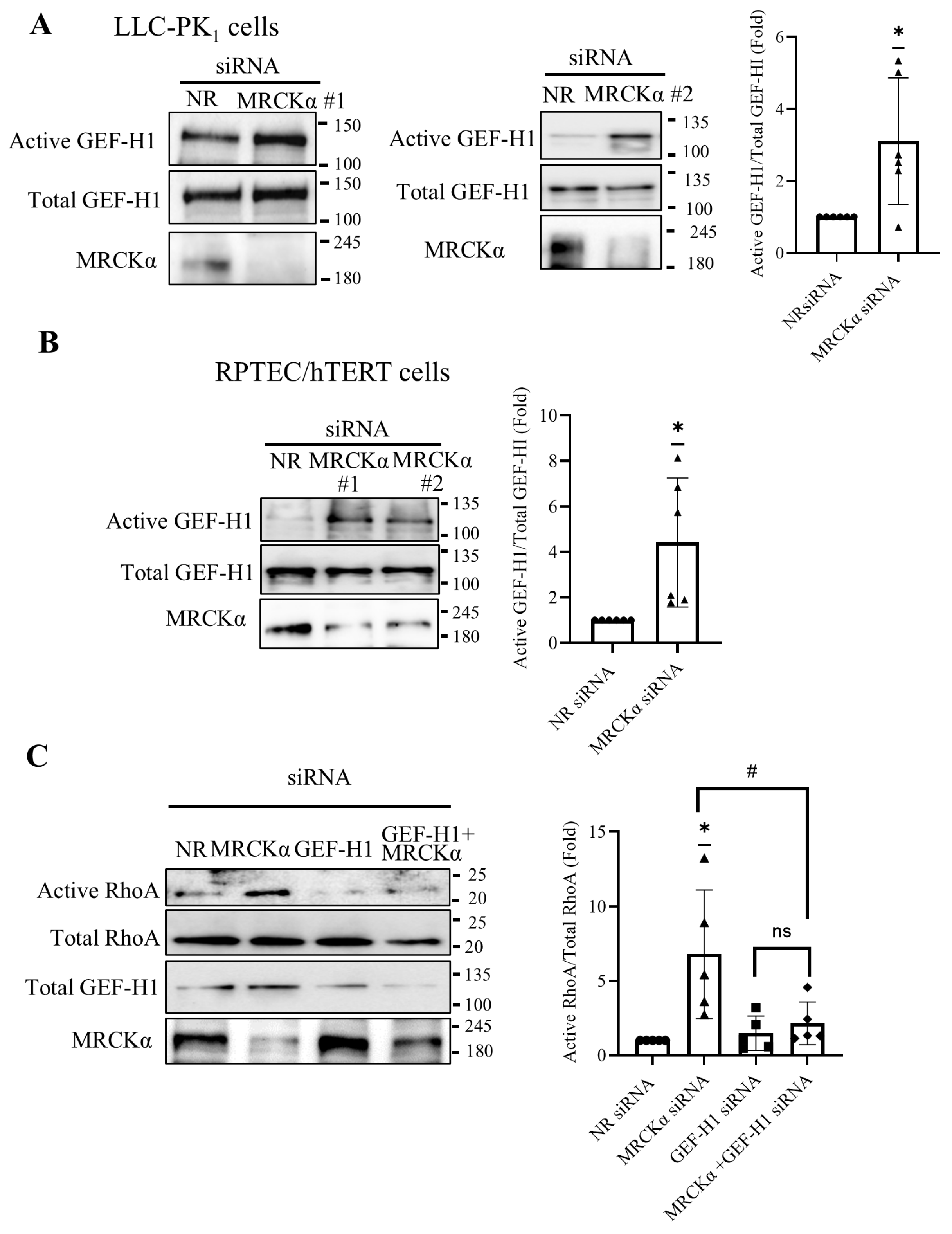 Preprints 177161 g002