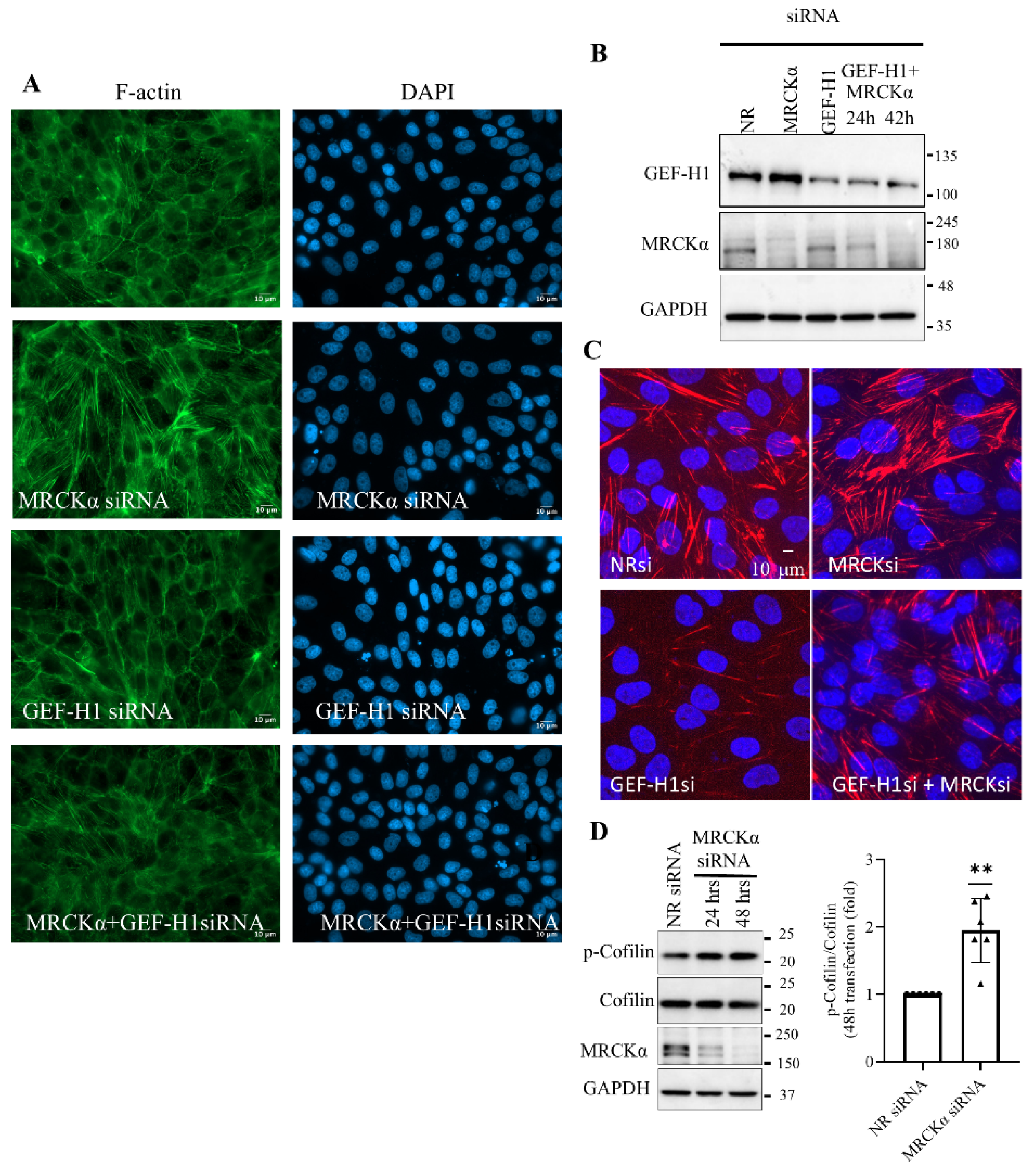 Preprints 177161 g003