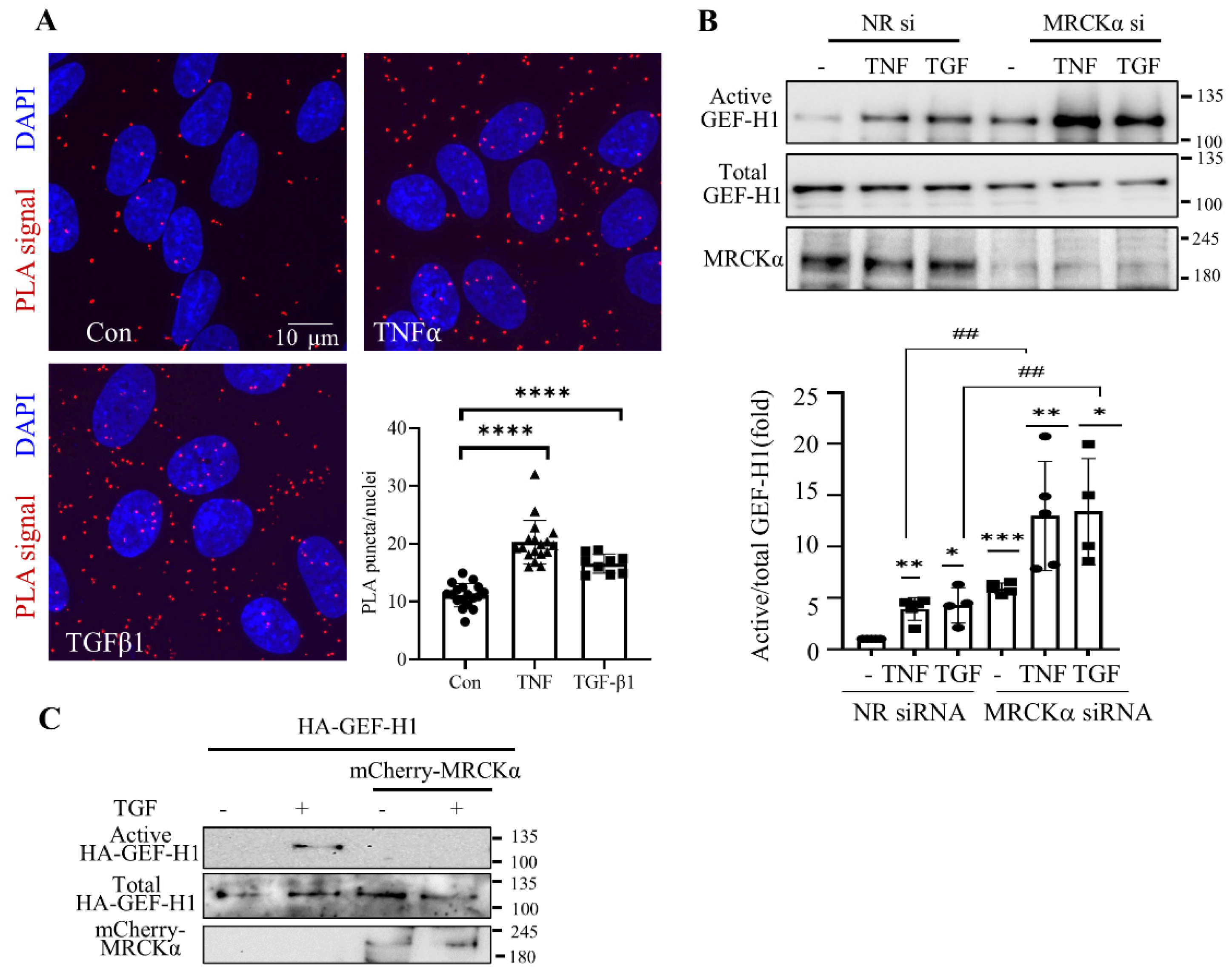 Preprints 177161 g004