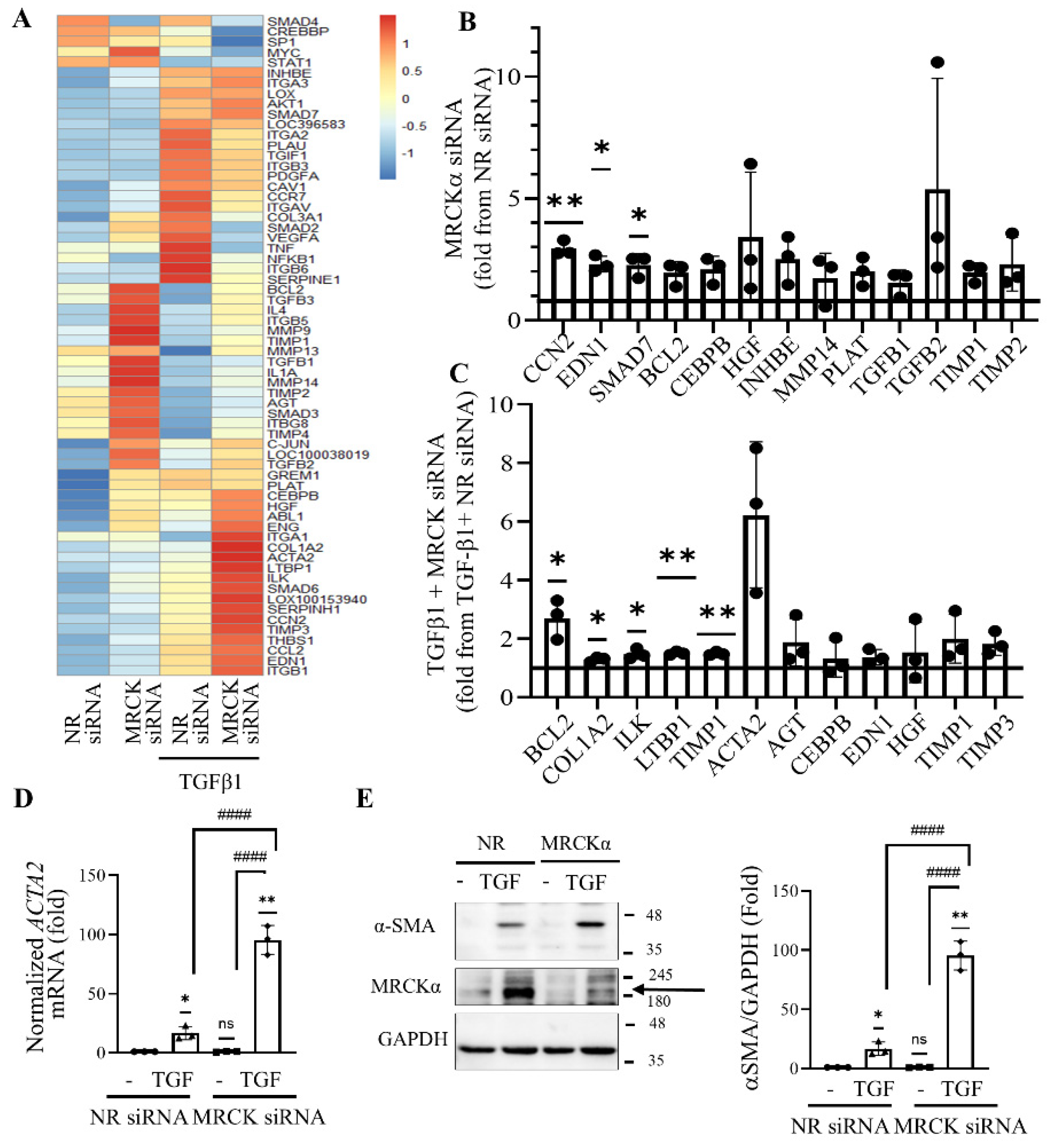 Preprints 177161 g005