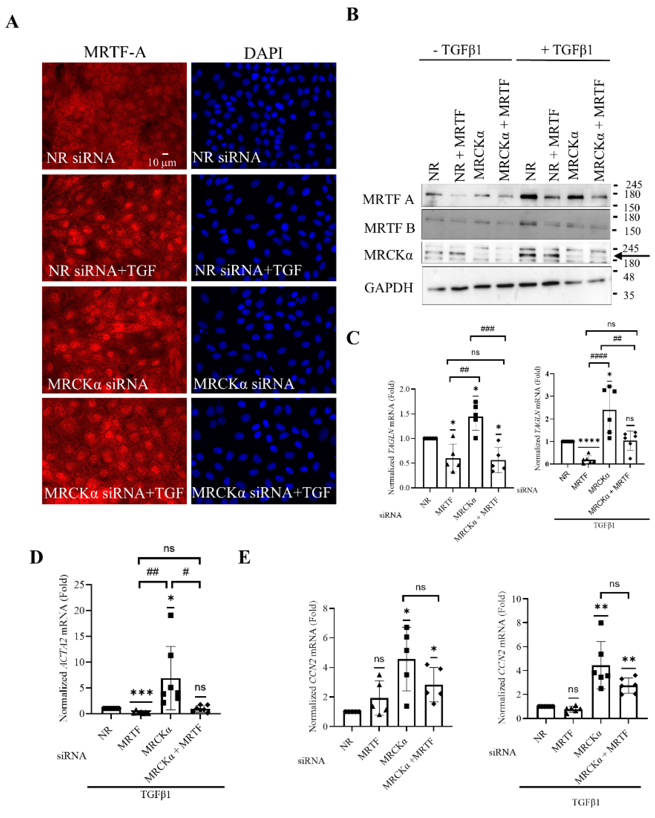 Preprints 177161 g006