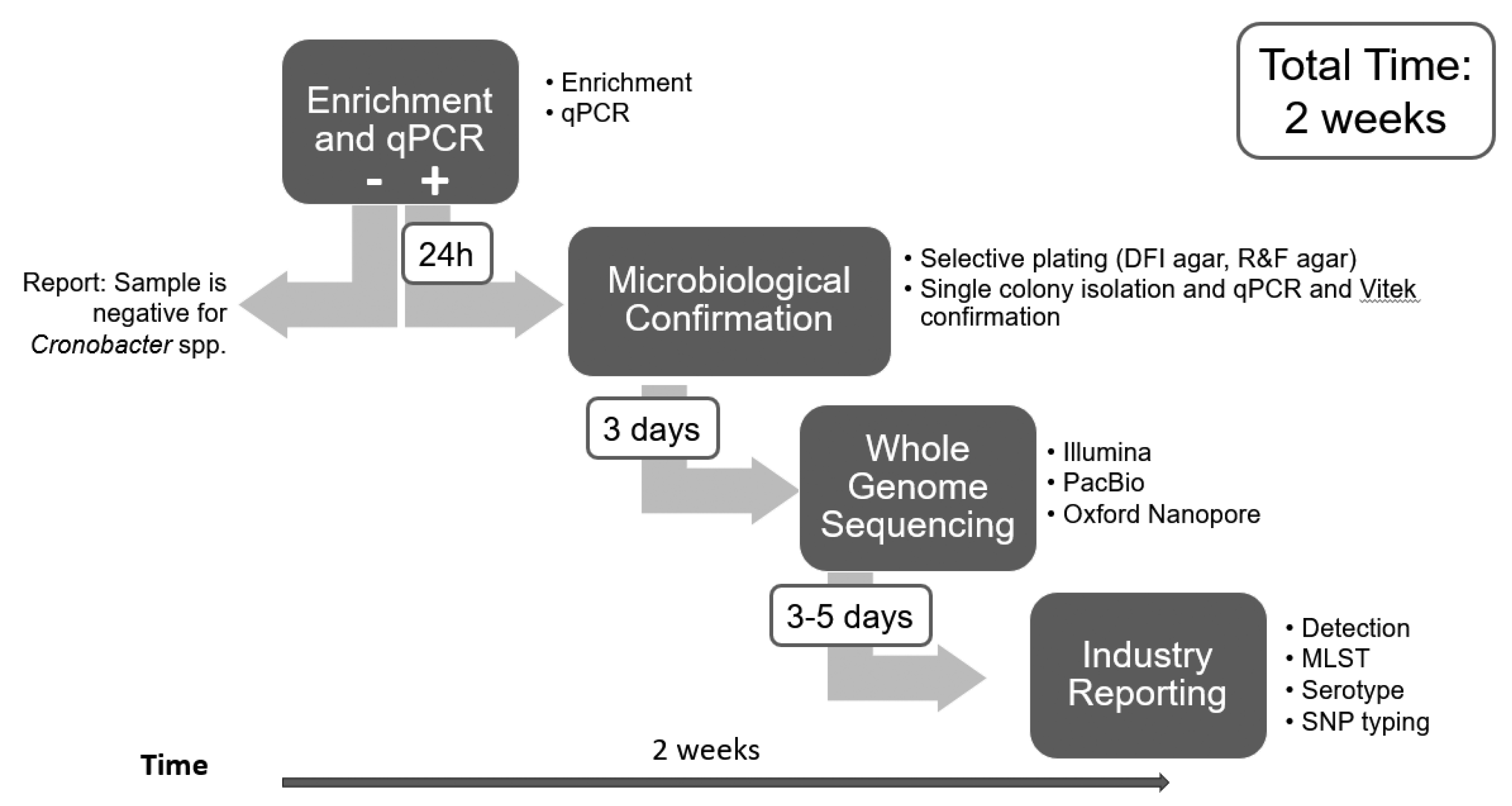 Preprints 134190 g001