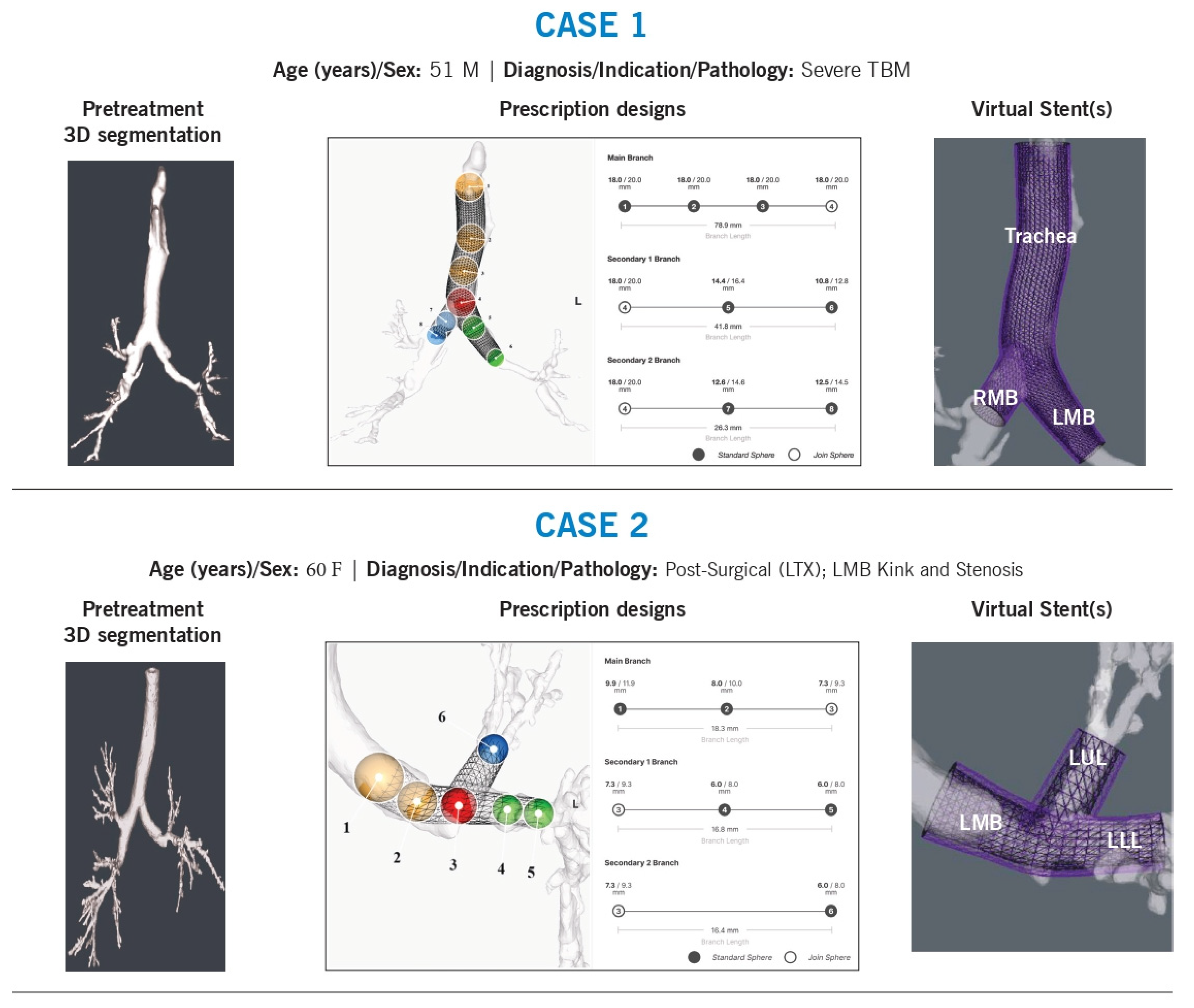 Preprints 153176 g001a