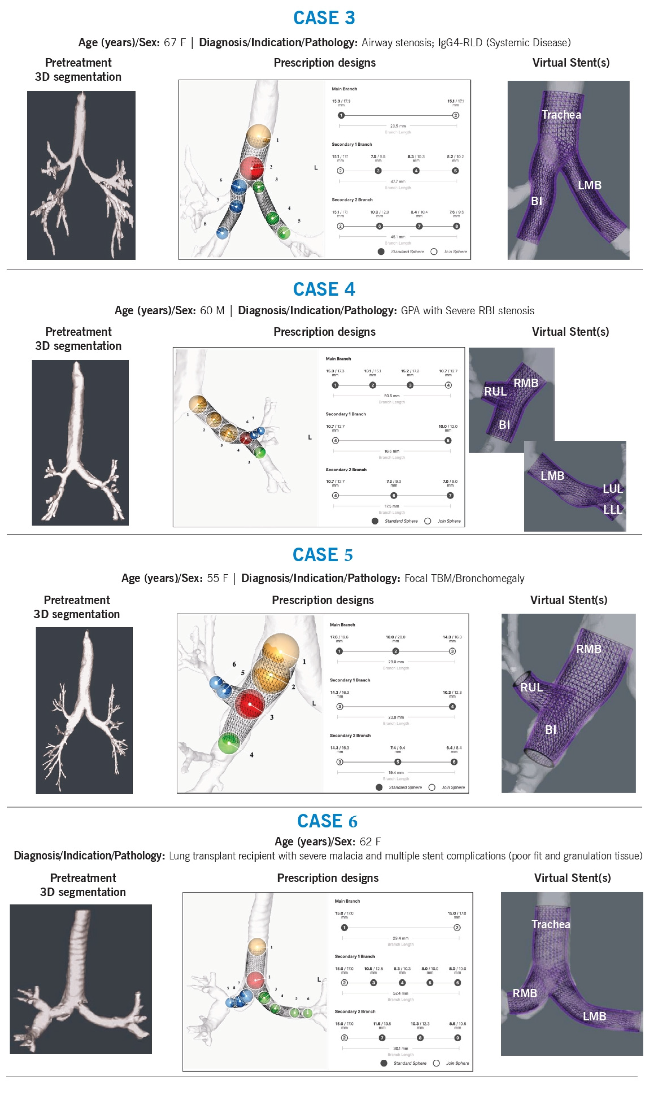 Preprints 153176 g001b