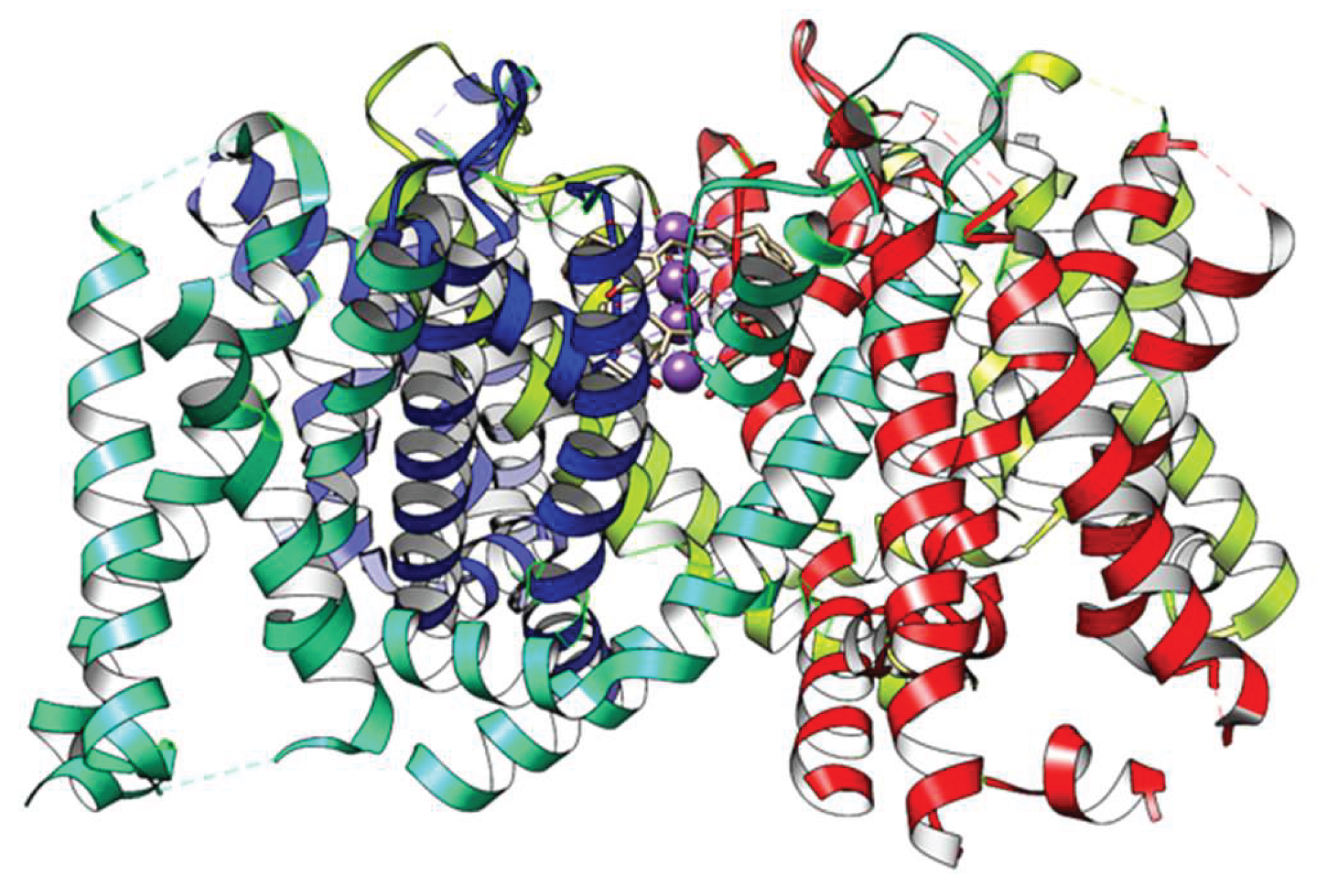 Preprints 161674 g001