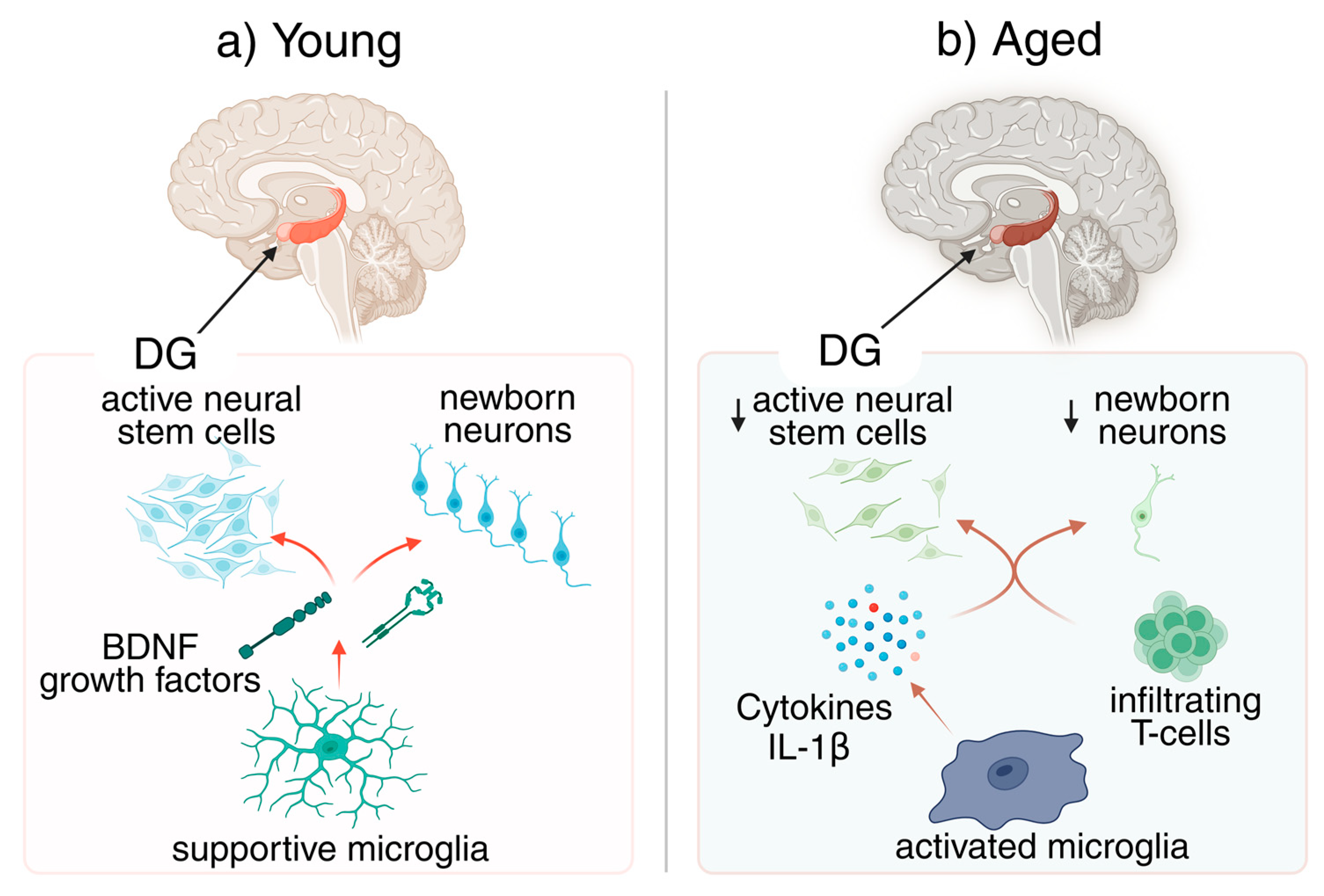 Preprints 192000 g001