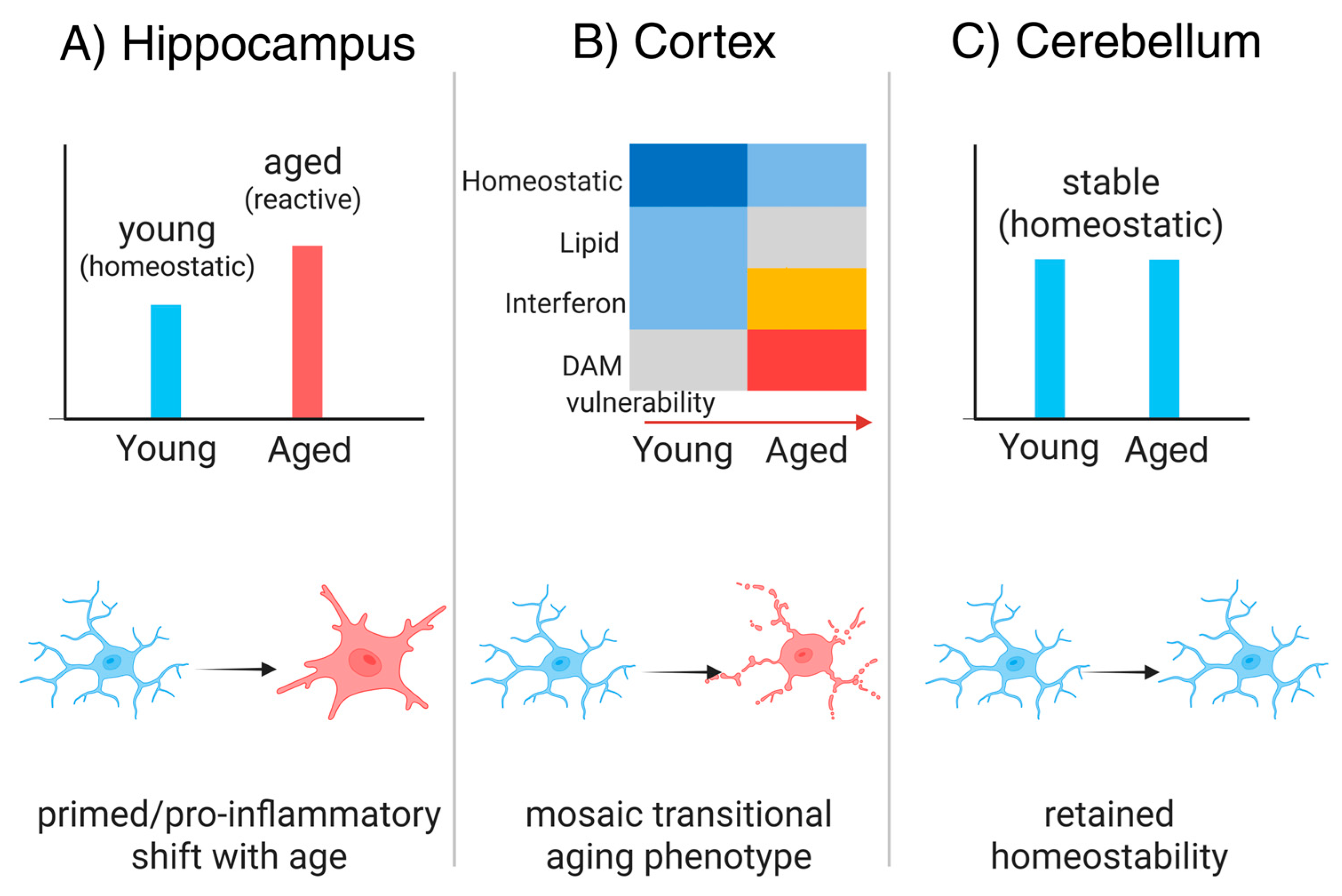 Preprints 192000 g002