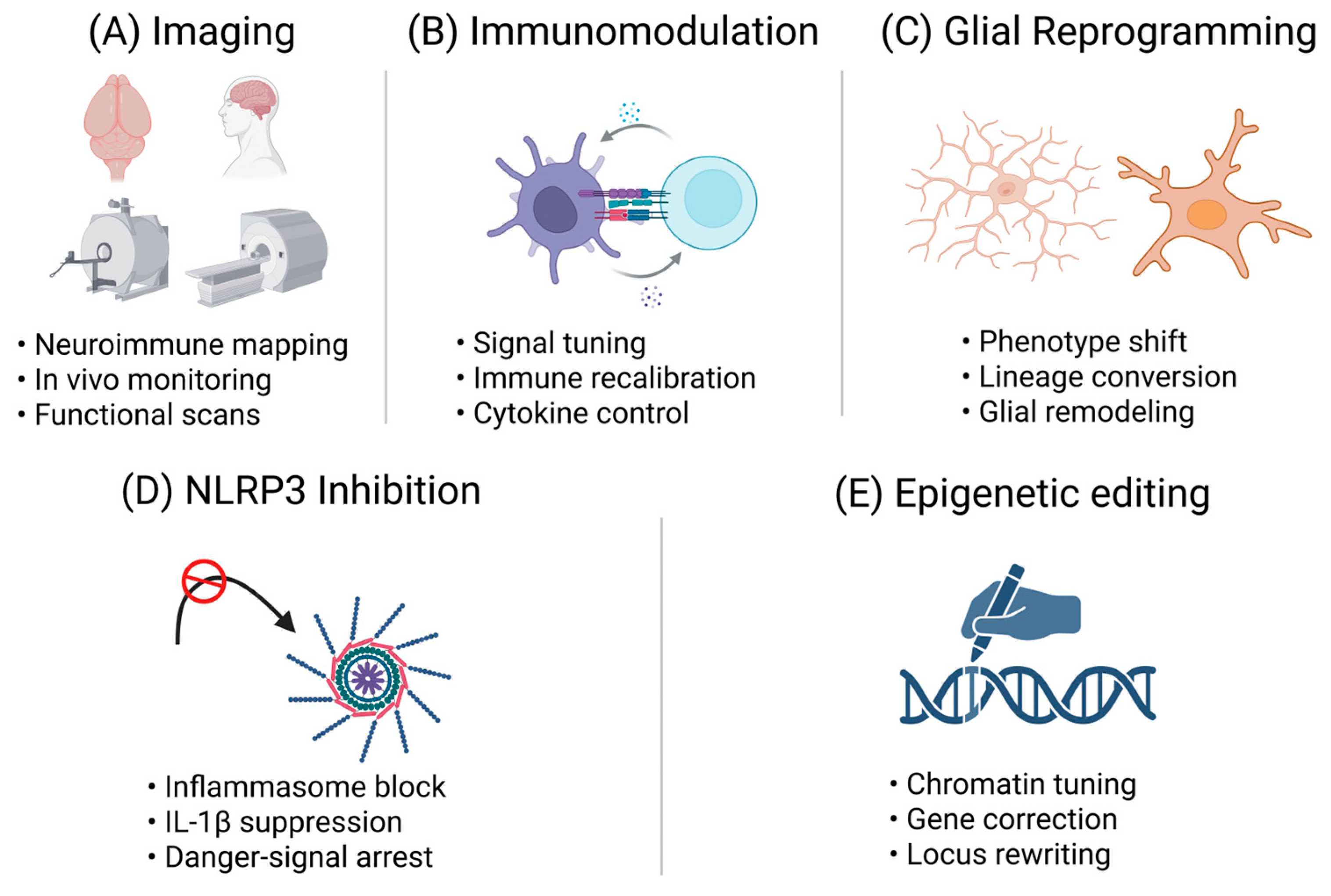 Preprints 192000 g003