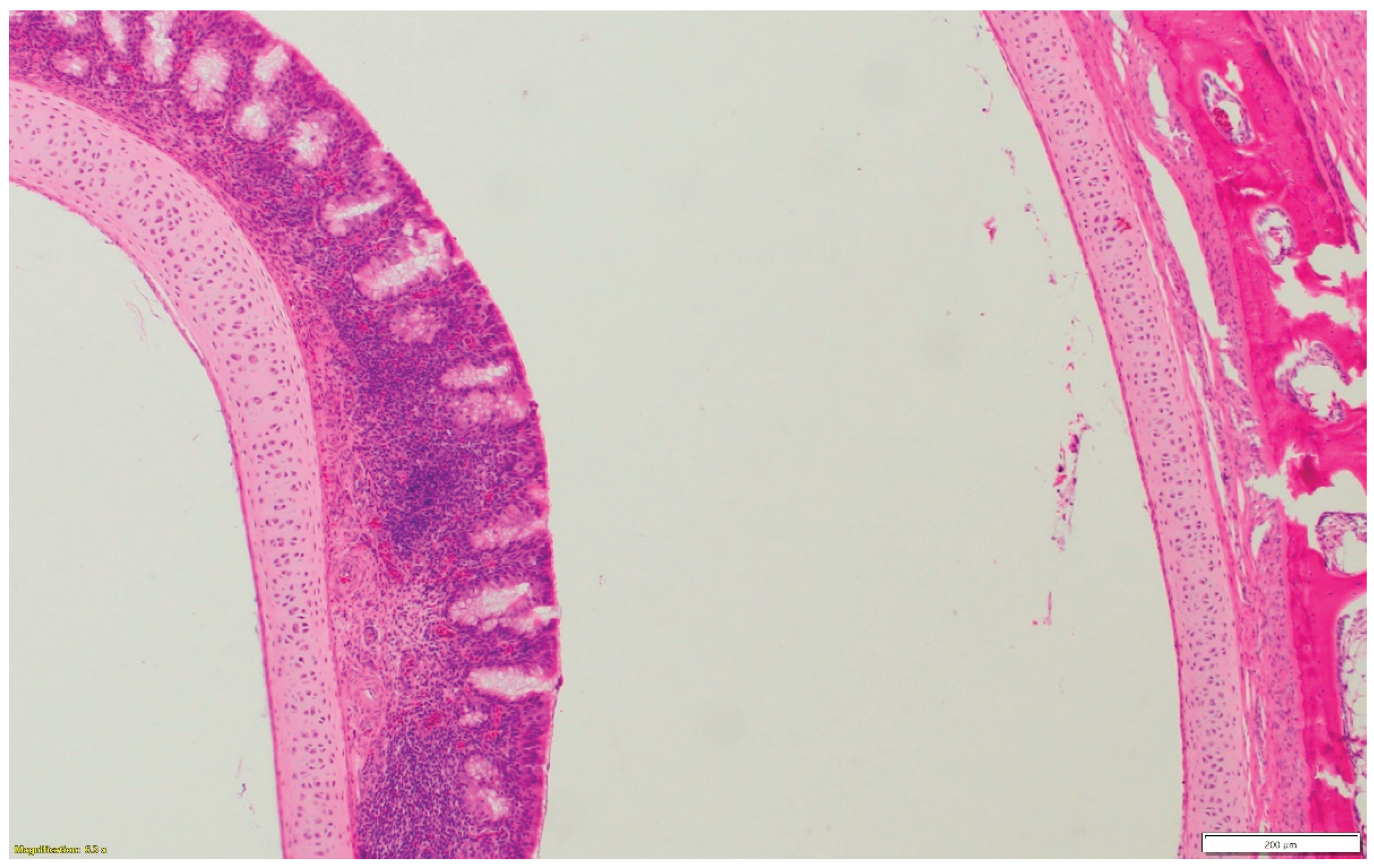 Preprints 163701 g001b