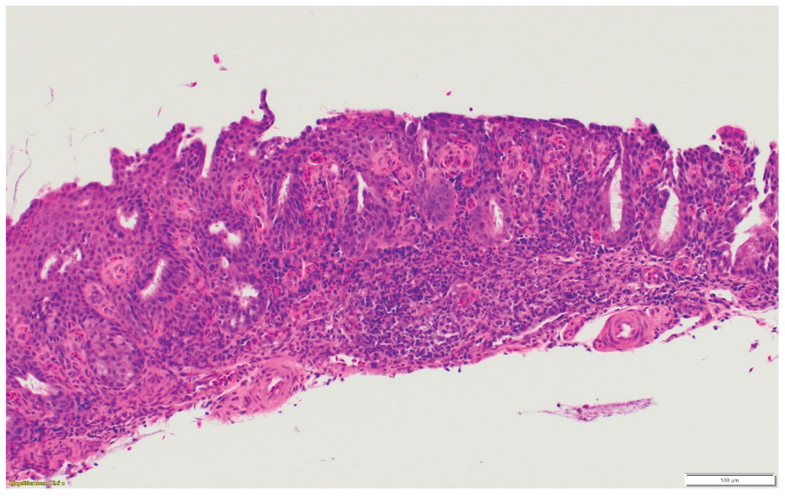 Preprints 163701 g001c