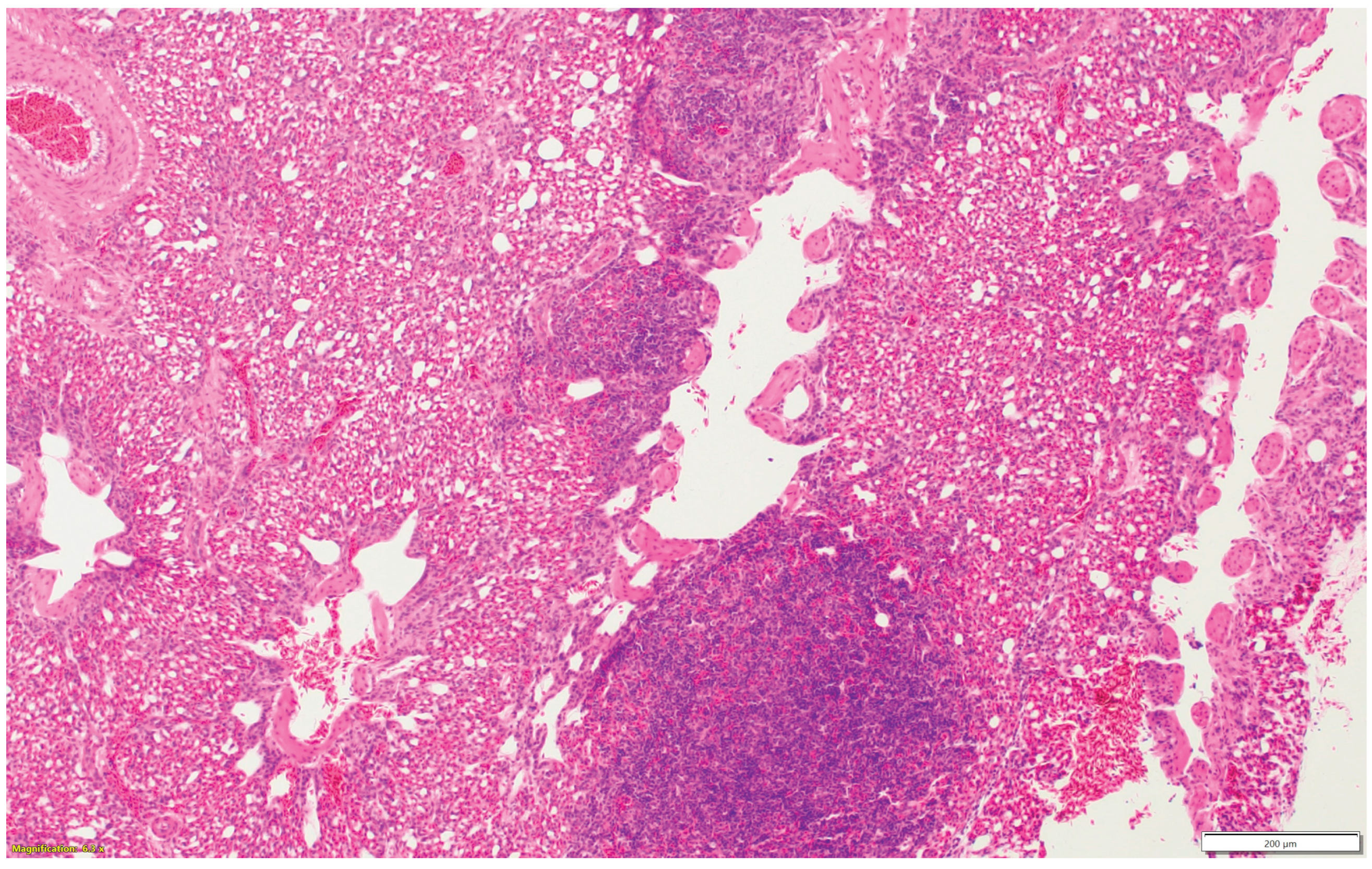 Preprints 163701 g001h