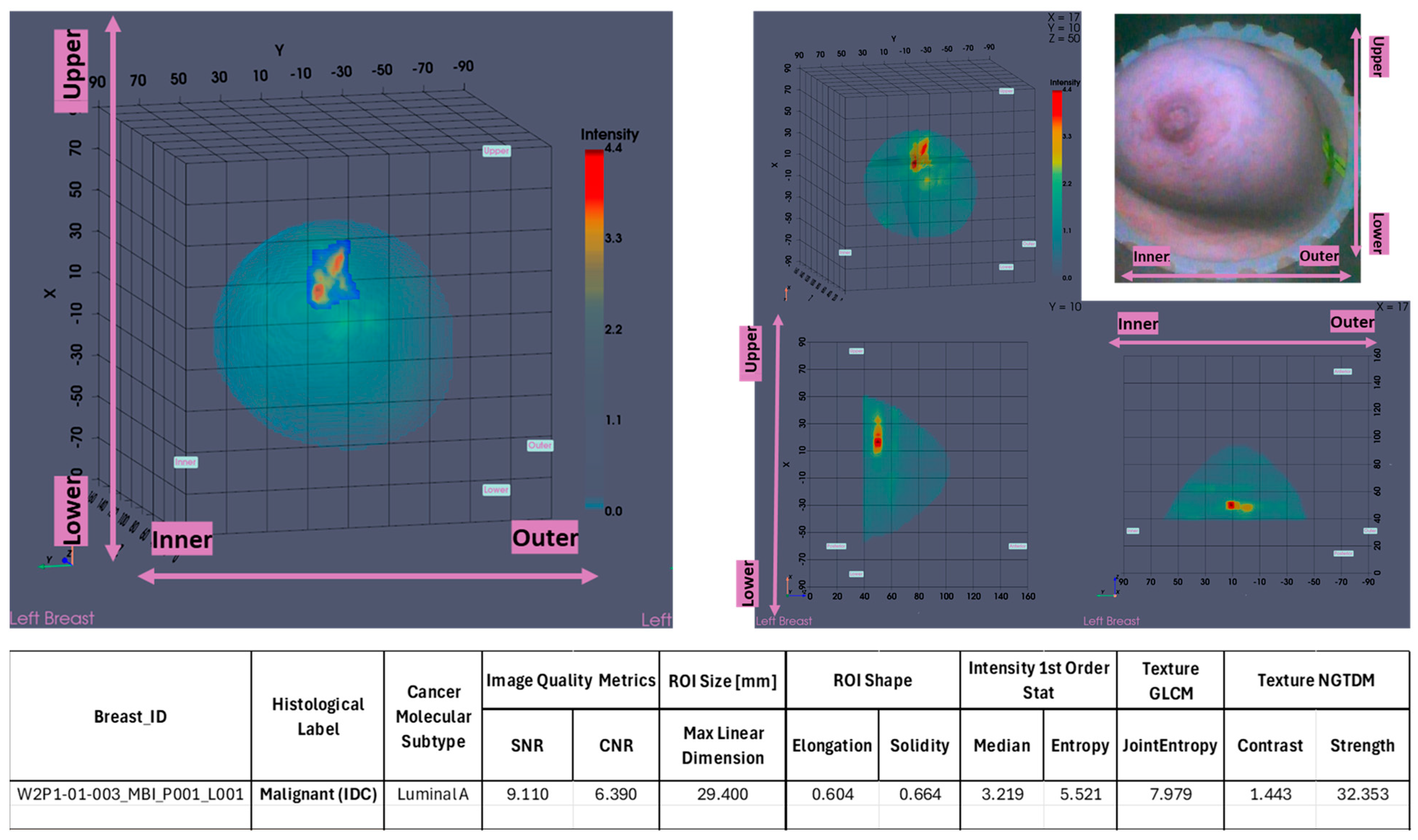 Preprints 171099 g002