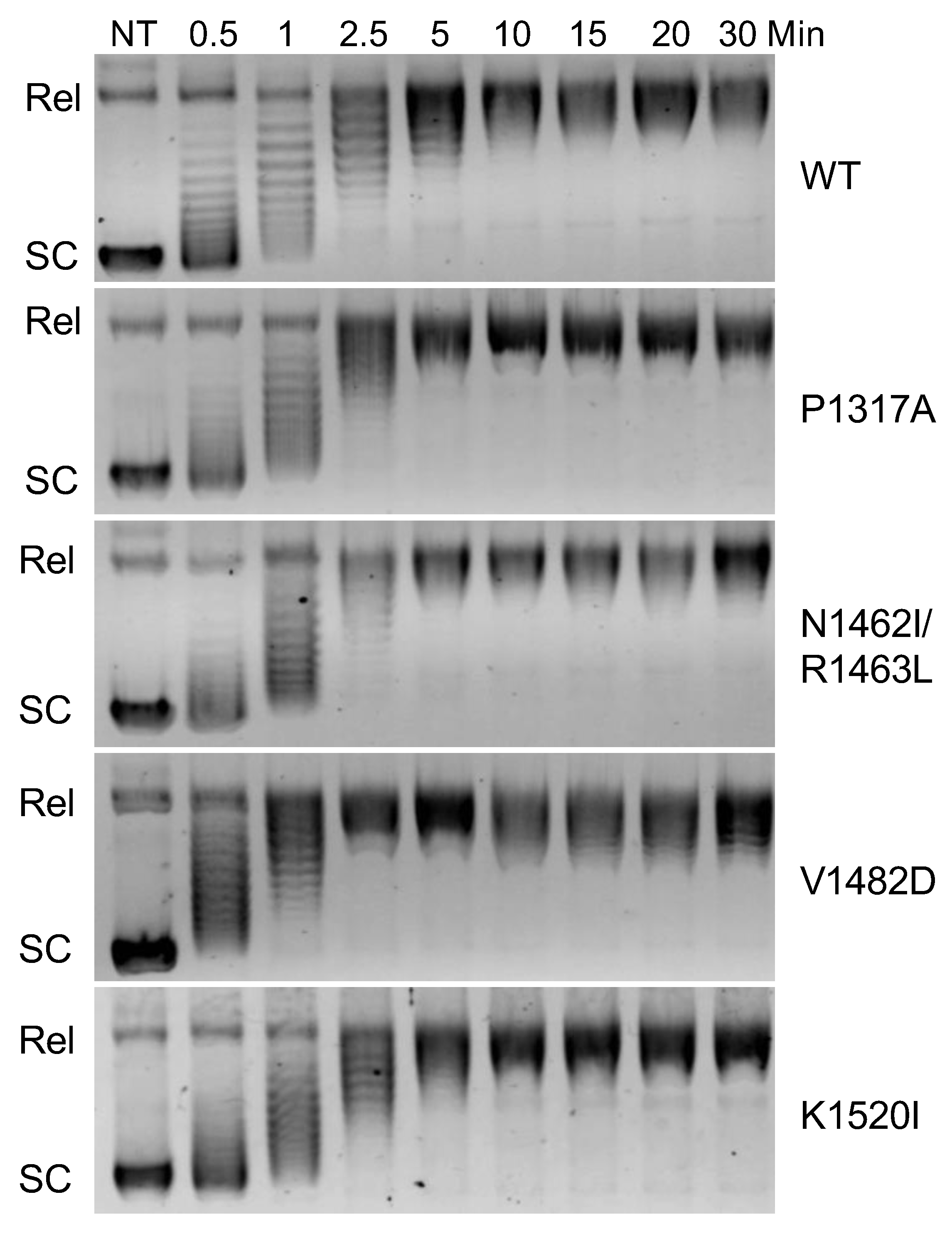 Preprints 151731 g002
