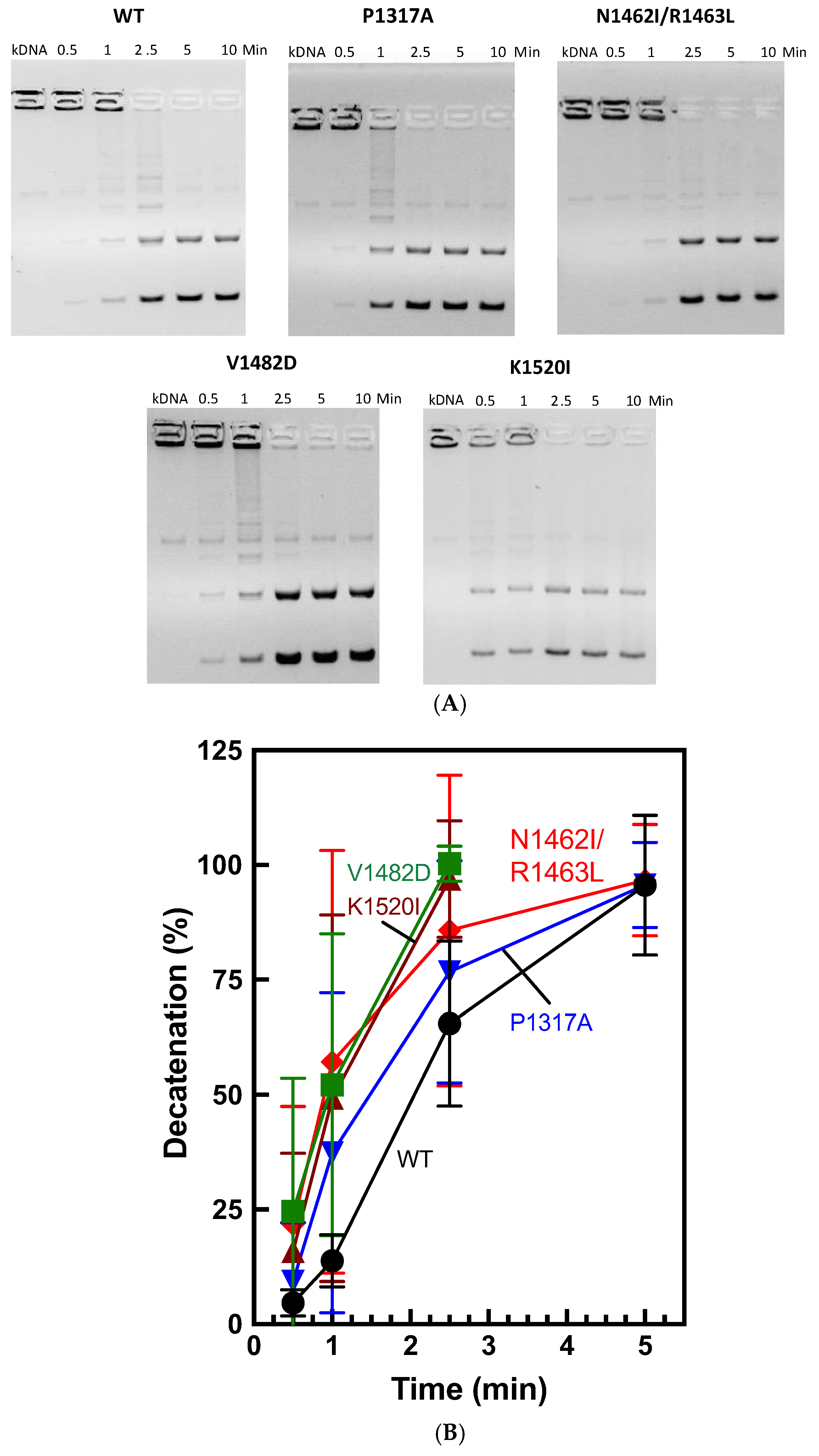 Preprints 151731 g007