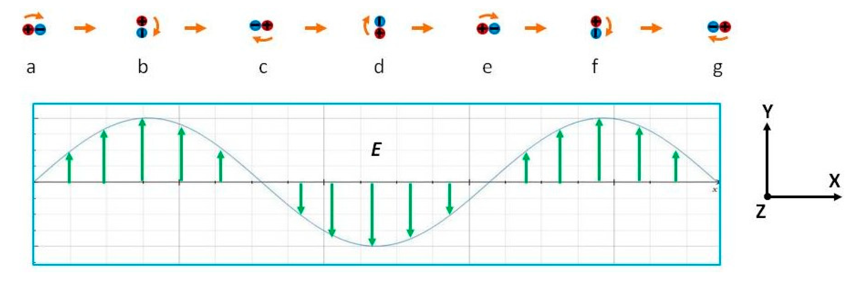 Preprints 147102 g003