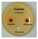 Preprints 165748 i001