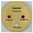 Preprints 165748 i002