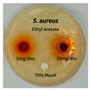 Preprints 165748 i003