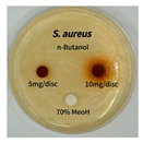 Preprints 165748 i004