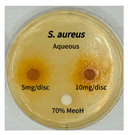 Preprints 165748 i005