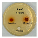 Preprints 165748 i006