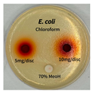 Preprints 165748 i007