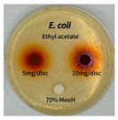 Preprints 165748 i008