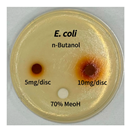 Preprints 165748 i009