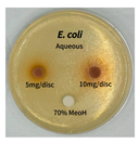 Preprints 165748 i010