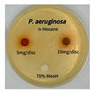 Preprints 165748 i011