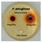 Preprints 165748 i013