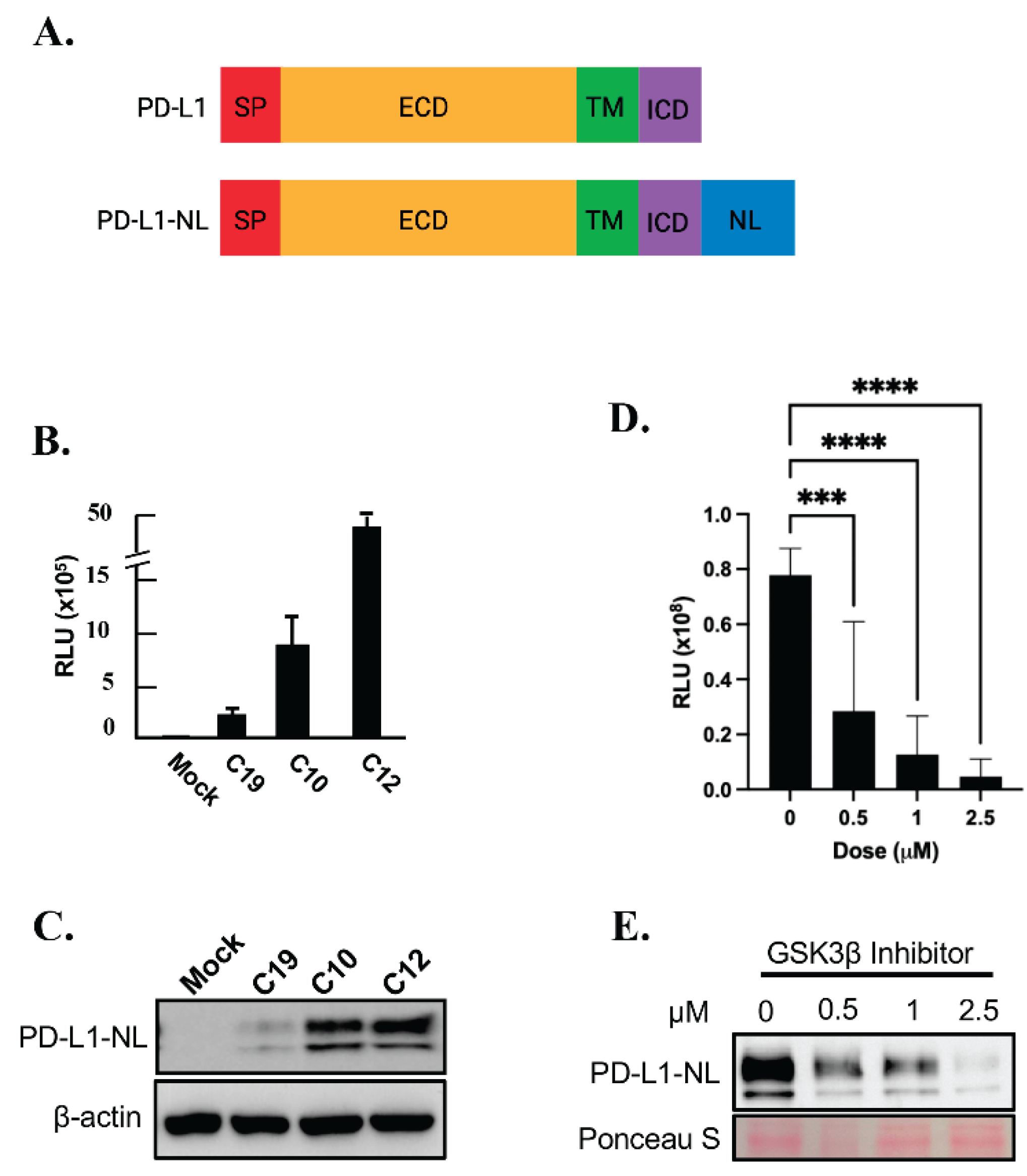 Preprints 170789 g001