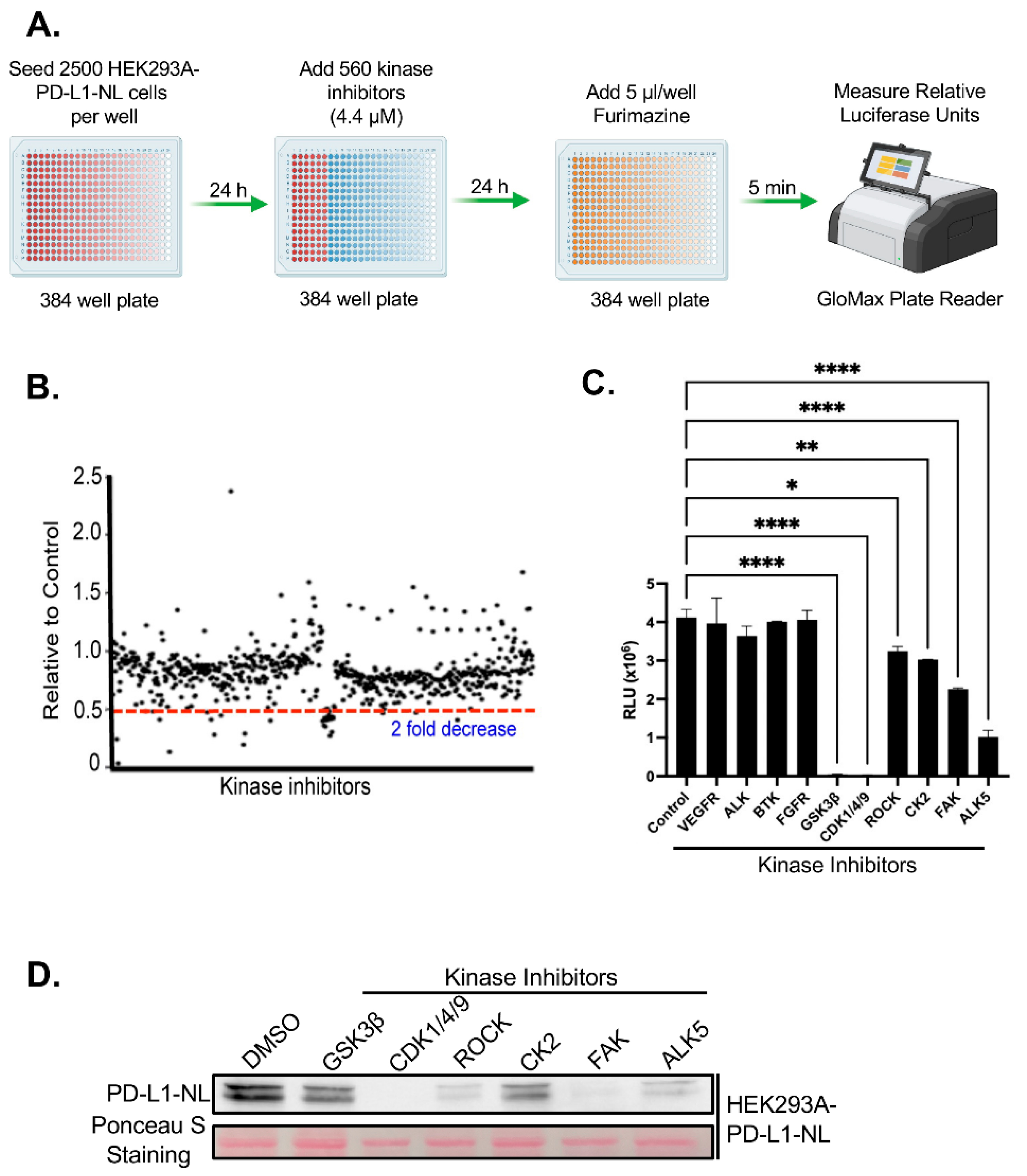 Preprints 170789 g002