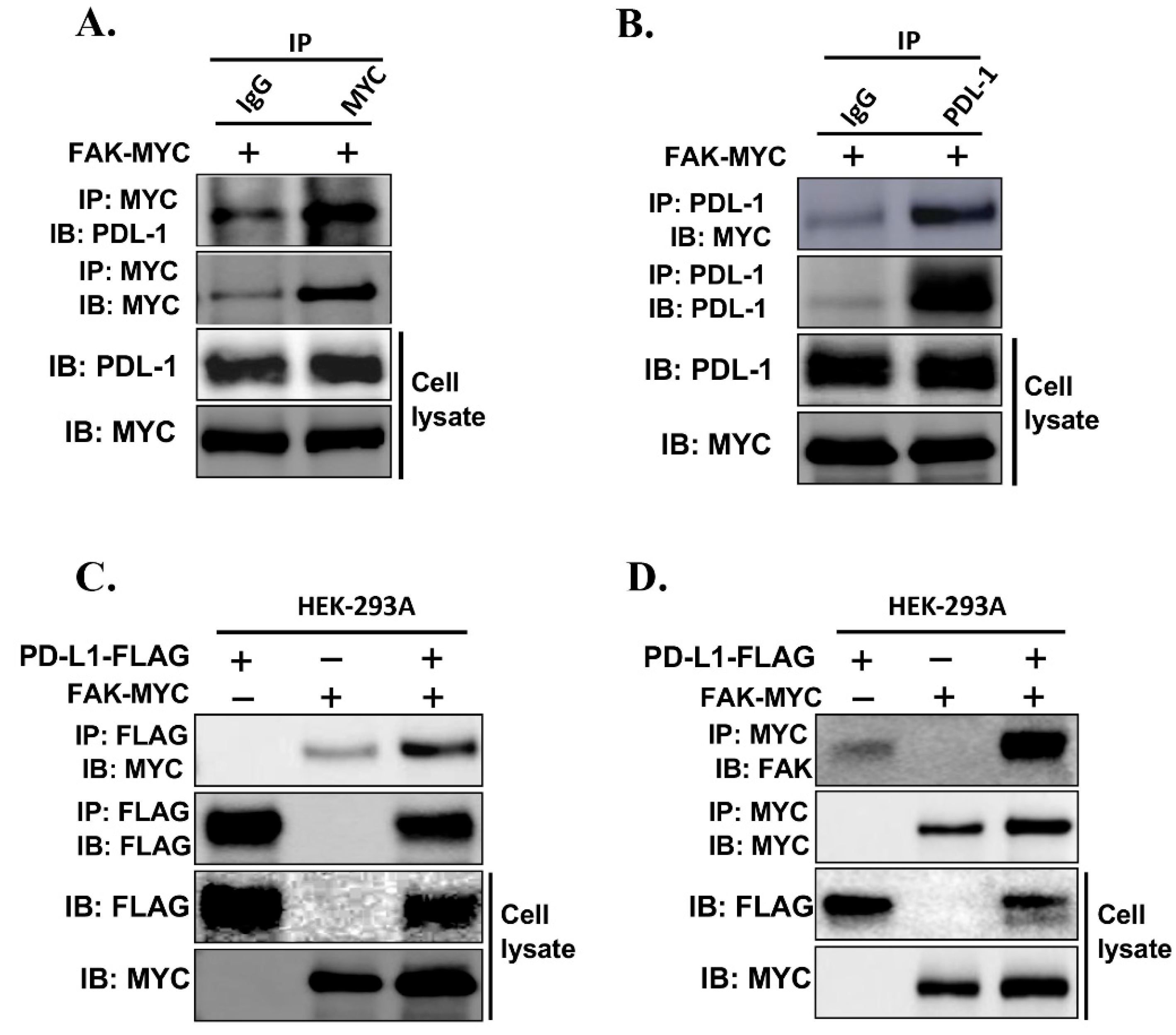 Preprints 170789 g007